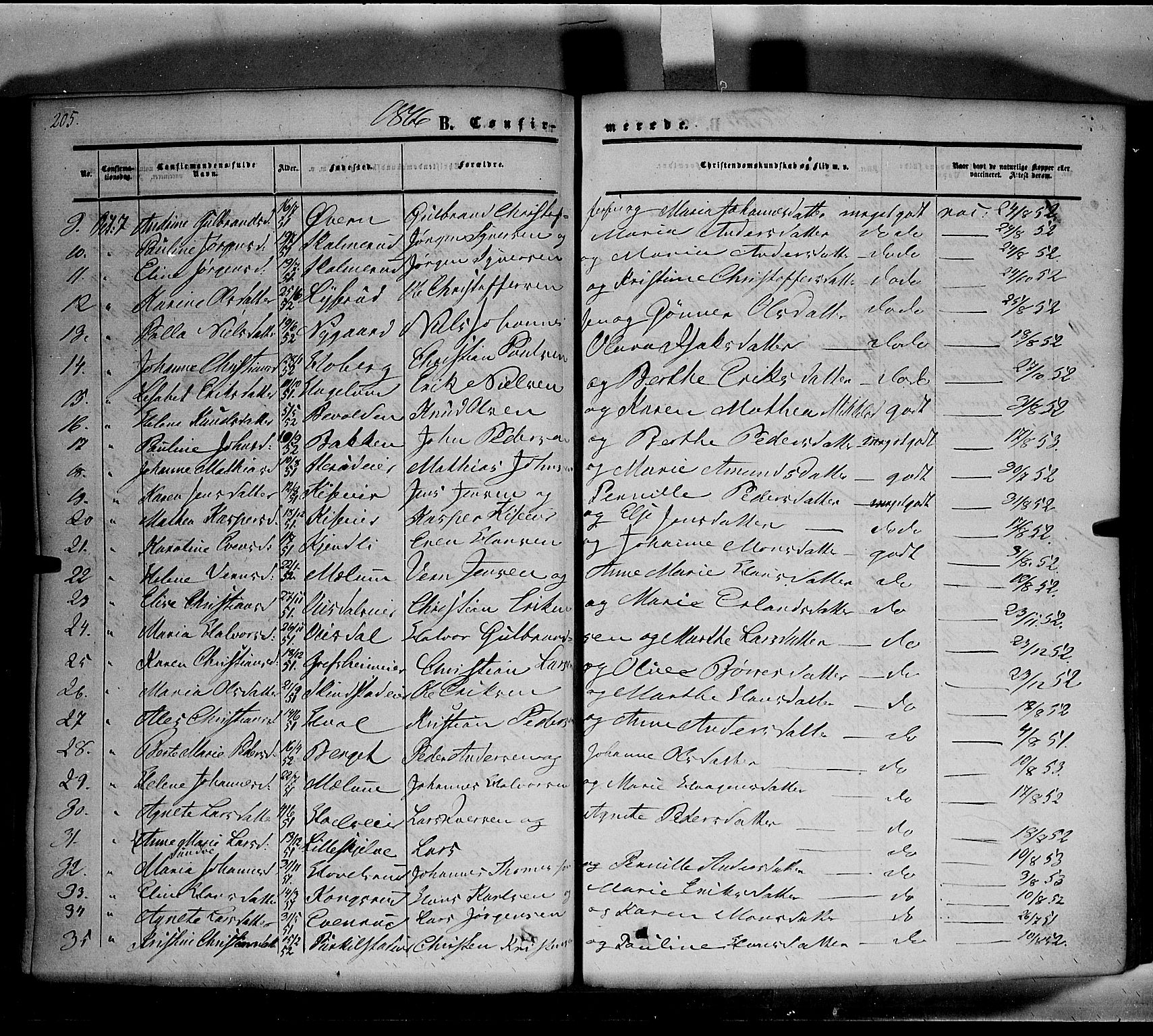 Nes prestekontor, Hedmark, SAH/PREST-020/K/Ka/L0004: Parish register (official) no. 4, 1852-1886, p. 205