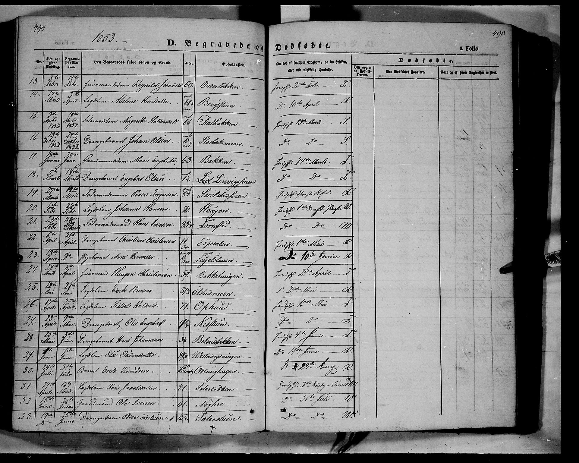 Ringebu prestekontor, AV/SAH-PREST-082/H/Ha/Haa/L0006: Parish register (official) no. 6, 1848-1859, p. 494-495