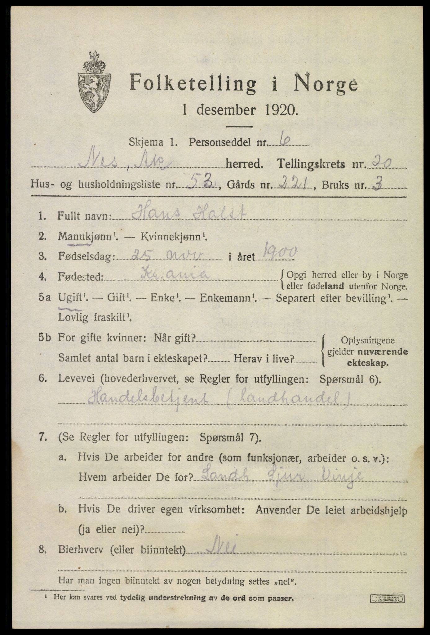 SAO, 1920 census for Nes, 1920, p. 21936