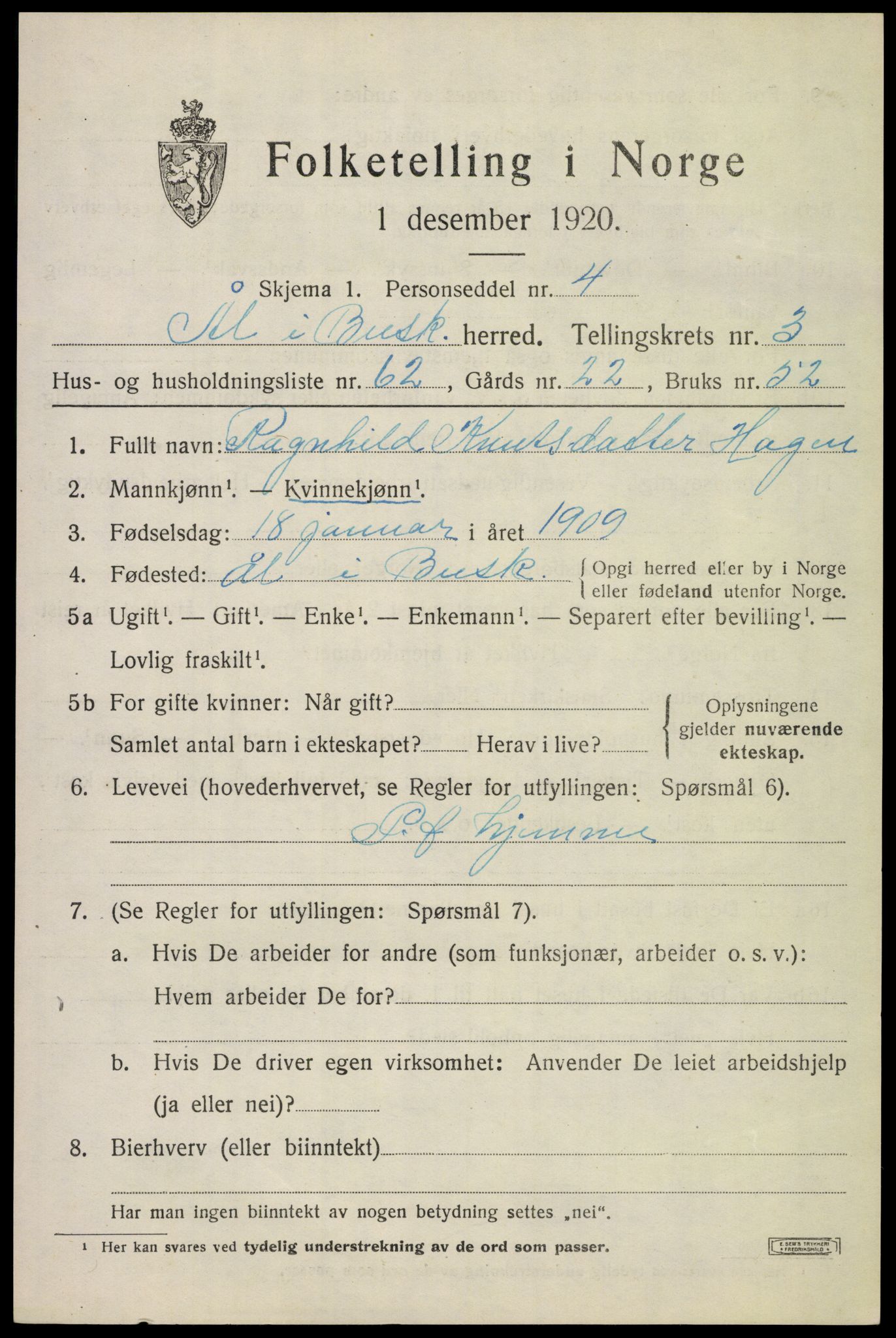 SAKO, 1920 census for Ål, 1920, p. 3070