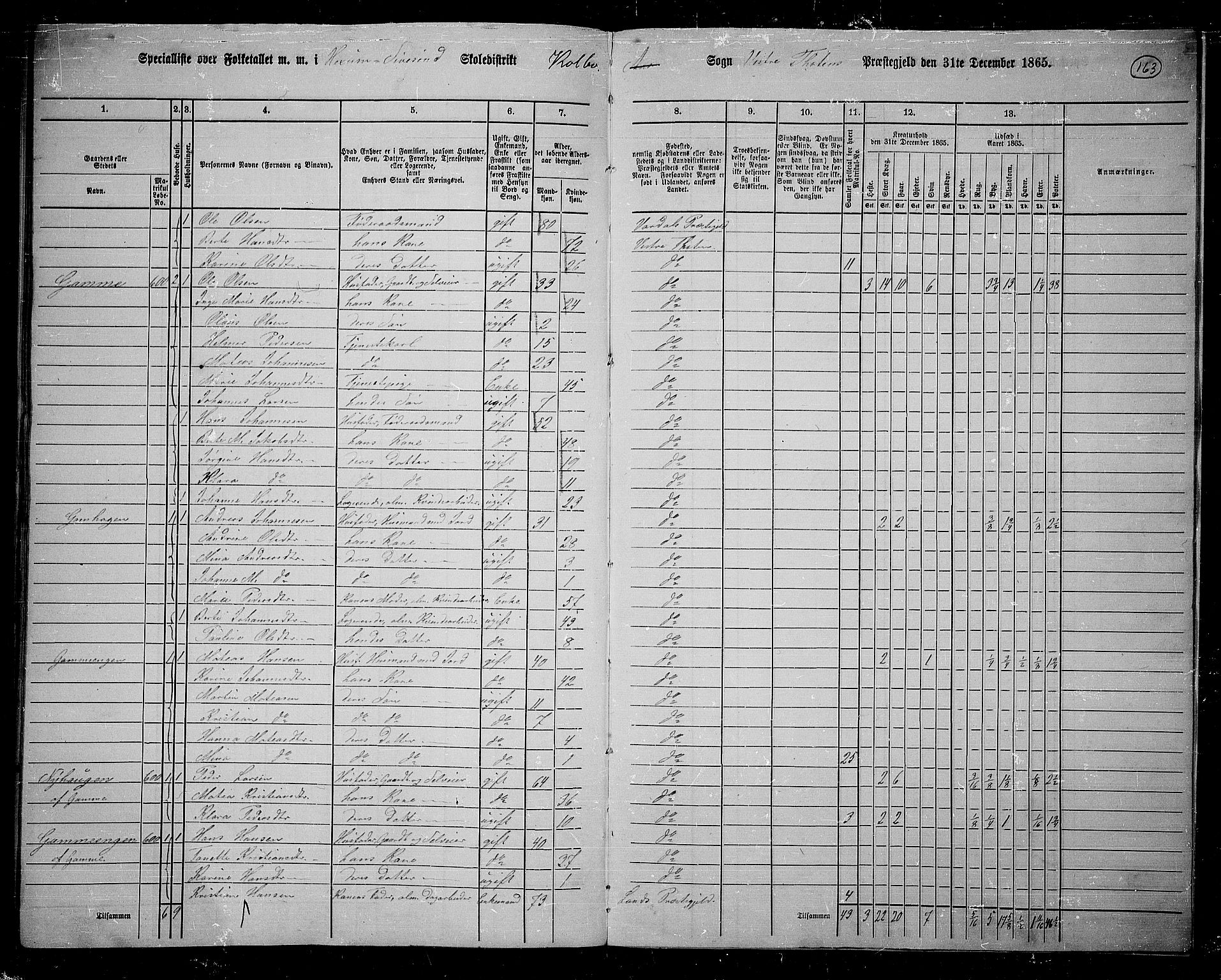 RA, 1865 census for Vestre Toten, 1865, p. 306