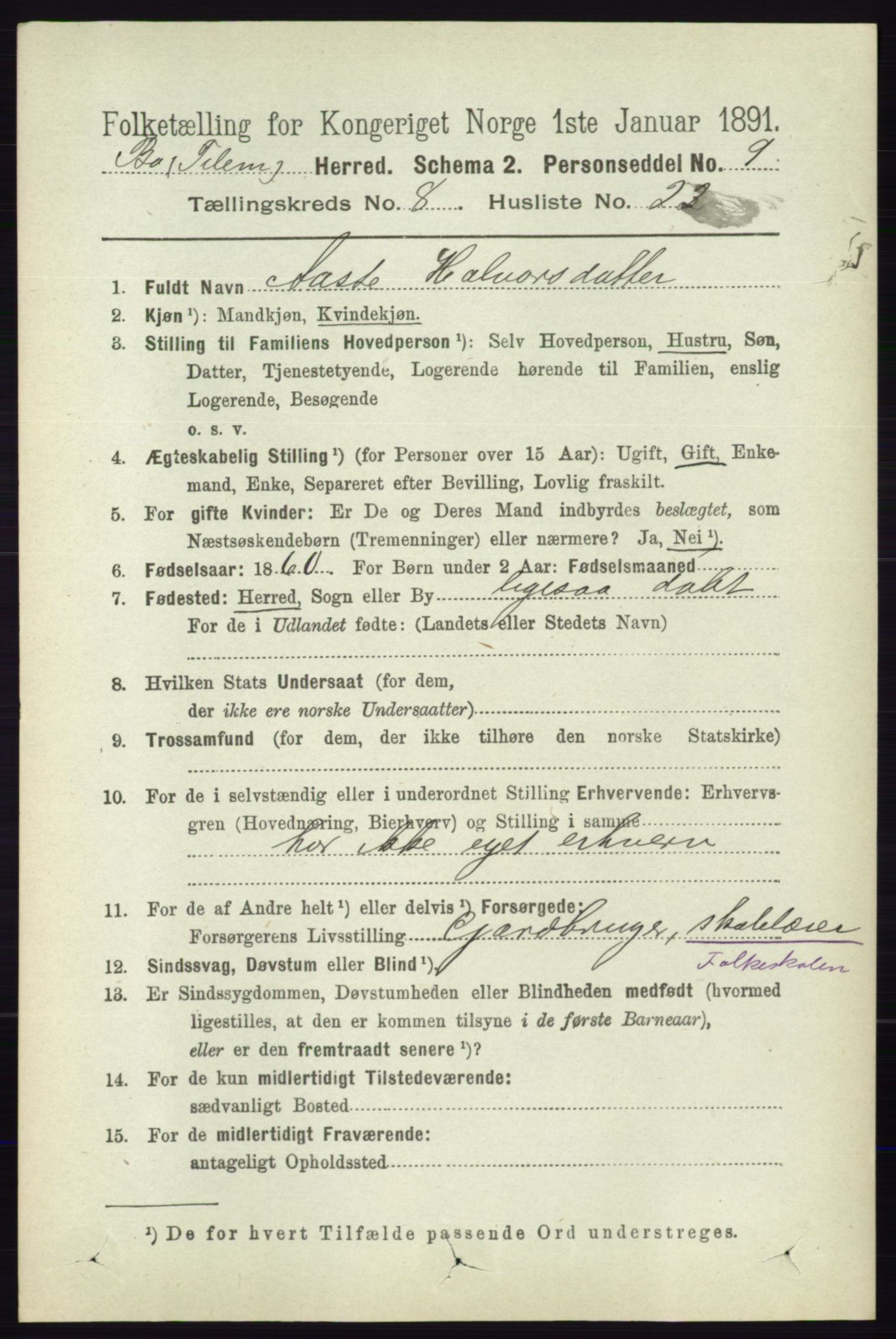 RA, 1891 census for 0821 Bø, 1891, p. 2683