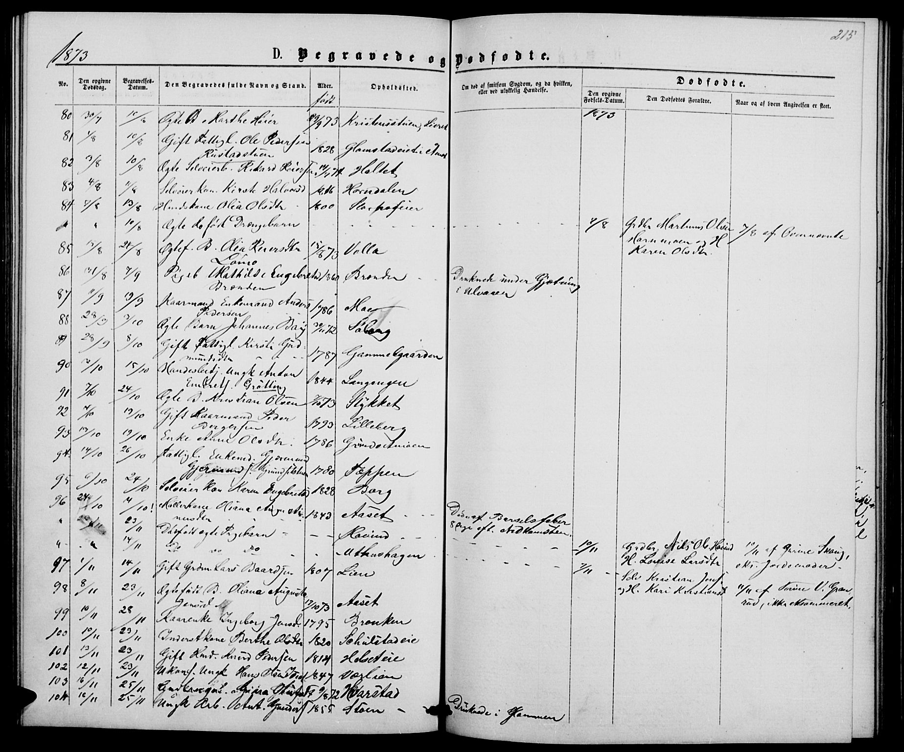 Elverum prestekontor, AV/SAH-PREST-044/H/Ha/Hab/L0004: Parish register (copy) no. 4, 1866-1874, p. 215