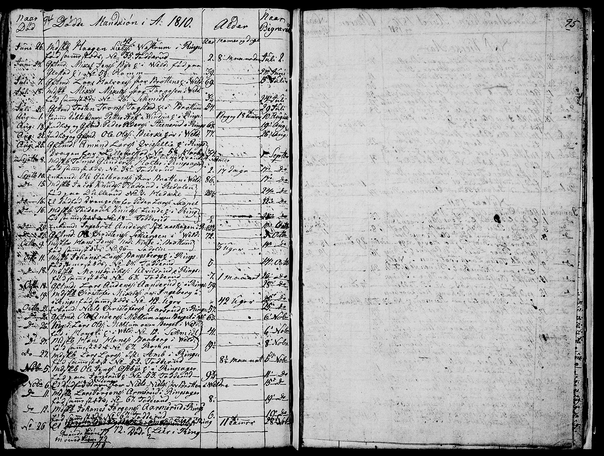 Ringsaker prestekontor, AV/SAH-PREST-014/I/Ia/L0005/0008: Parish register draft no. 5.8, 1807-1811, p. 94-95