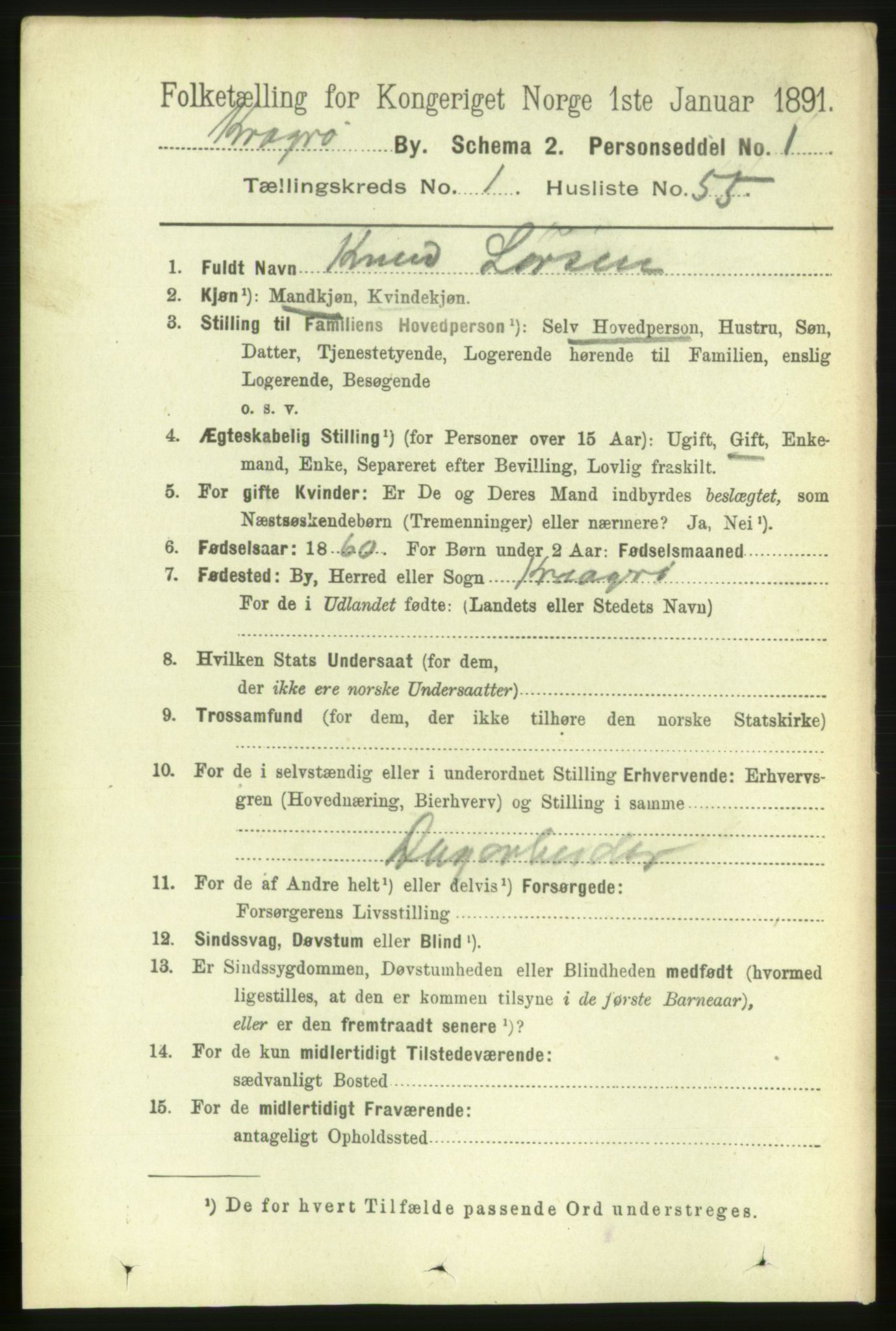 RA, 1891 census for 0801 Kragerø, 1891, p. 2117