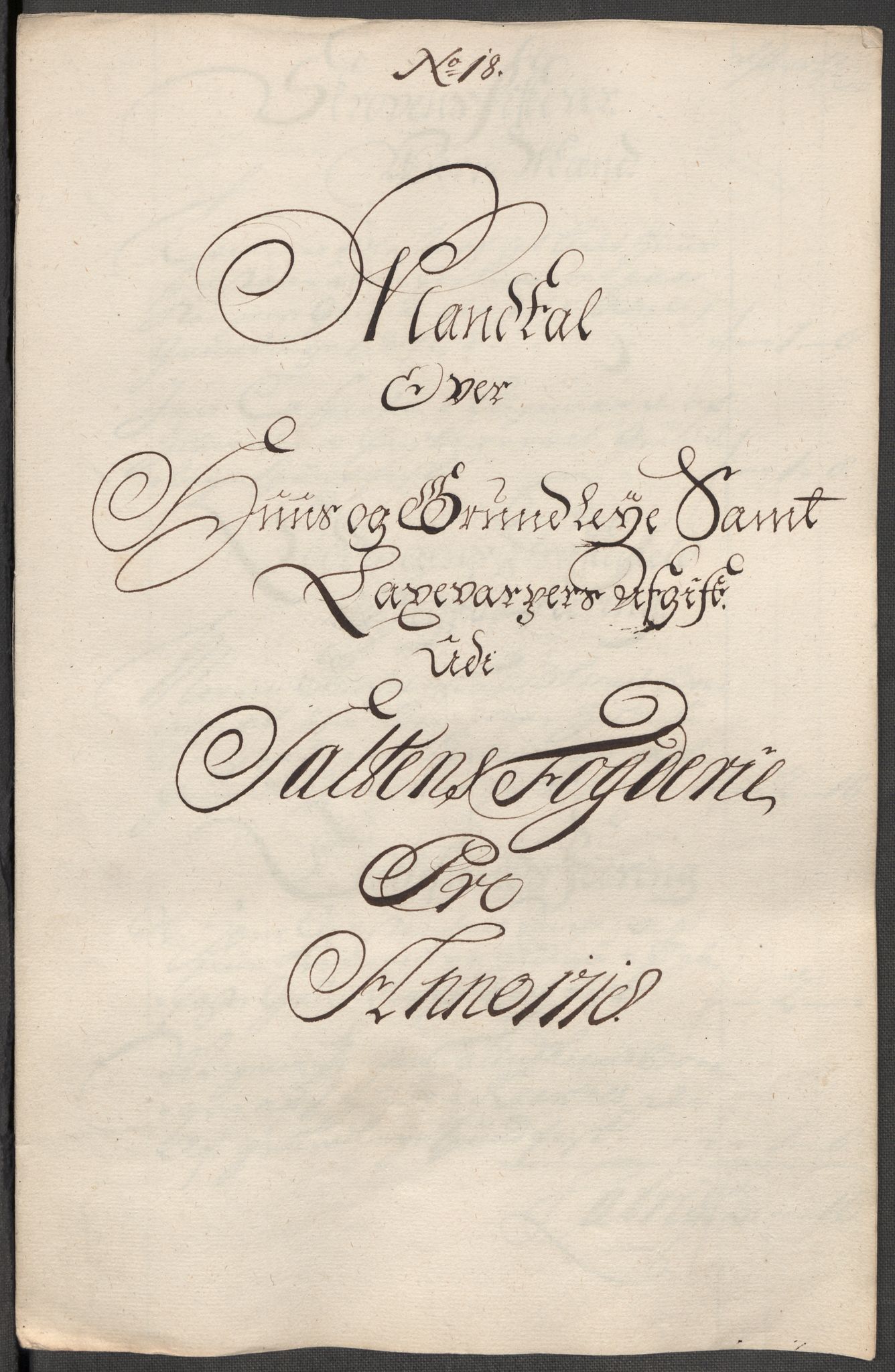 Rentekammeret inntil 1814, Reviderte regnskaper, Fogderegnskap, AV/RA-EA-4092/R66/L4588: Fogderegnskap Salten, 1718, p. 262