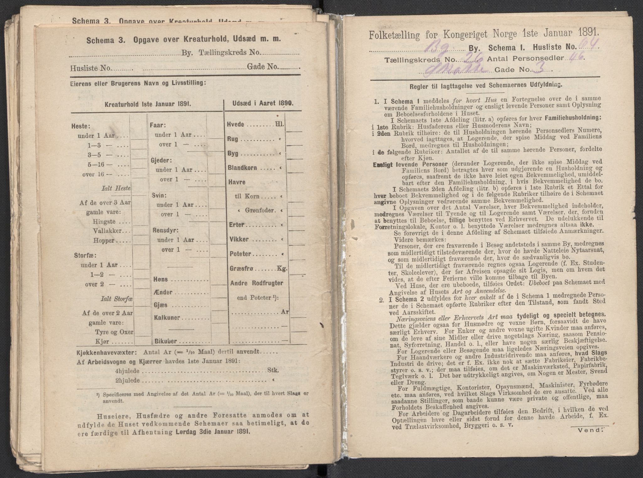 RA, 1891 Census for 1301 Bergen, 1891, p. 4282