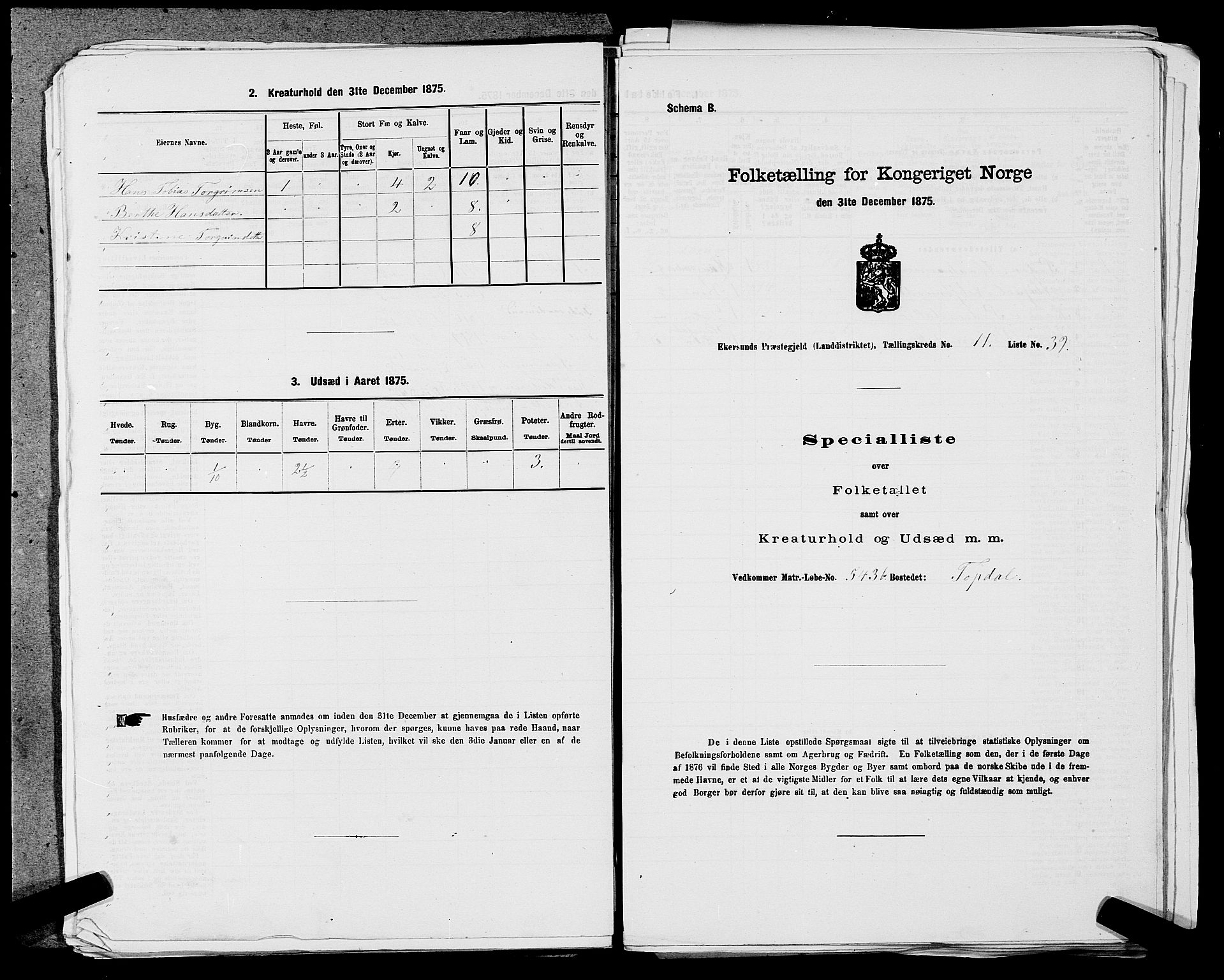 SAST, 1875 census for 1116L Eigersund/Eigersund og Ogna, 1875, p. 1262