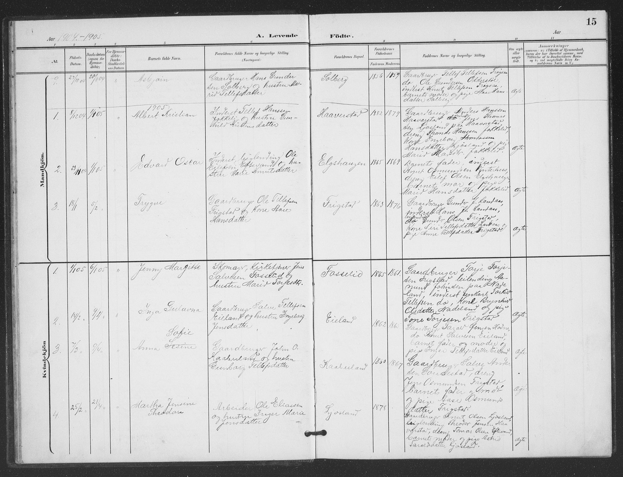 Evje sokneprestkontor, SAK/1111-0008/F/Fb/Fbc/L0005: Parish register (copy) no. B 5, 1901-1935, p. 15