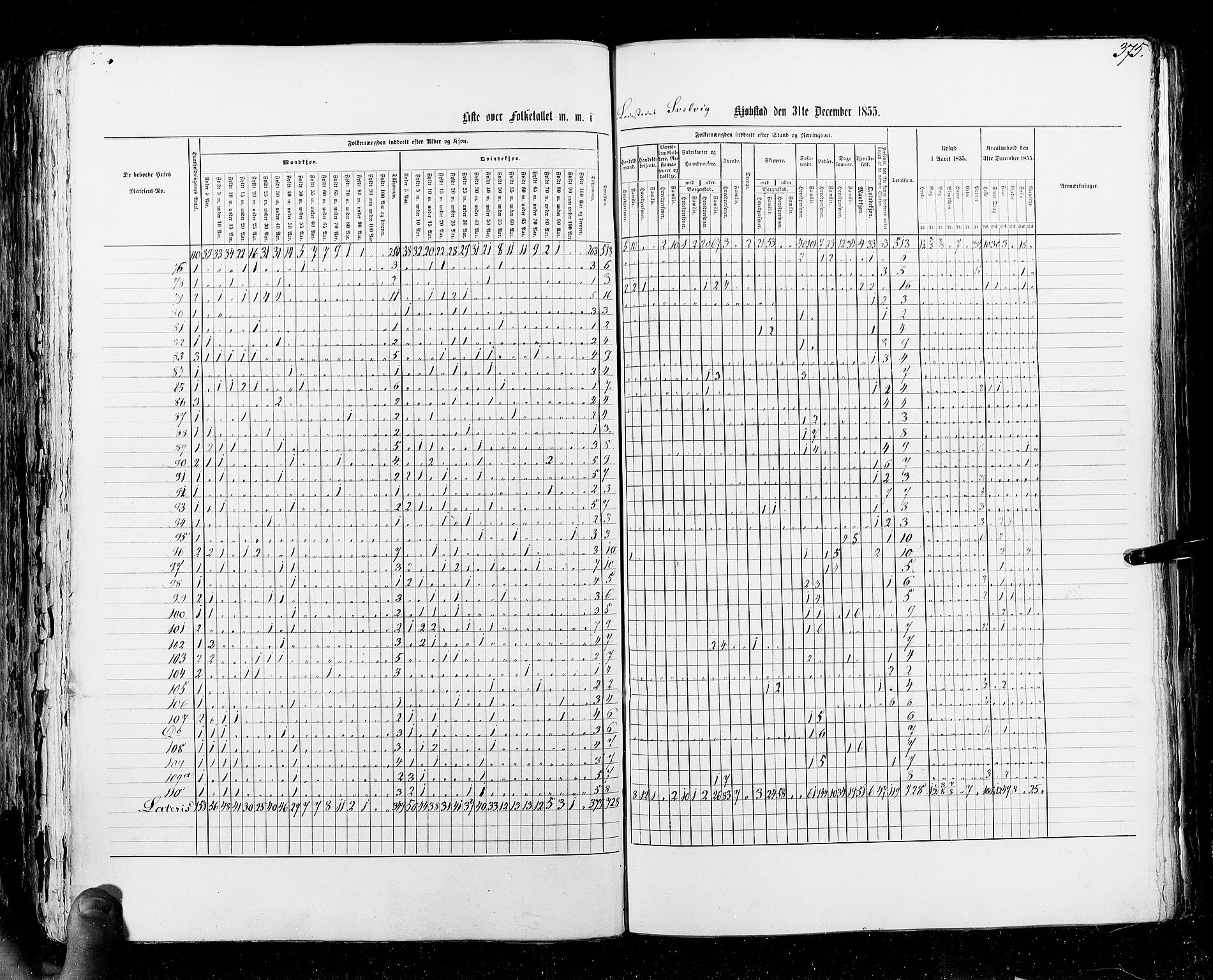 RA, Census 1855, vol. 7: Fredrikshald-Kragerø, 1855, p. 375