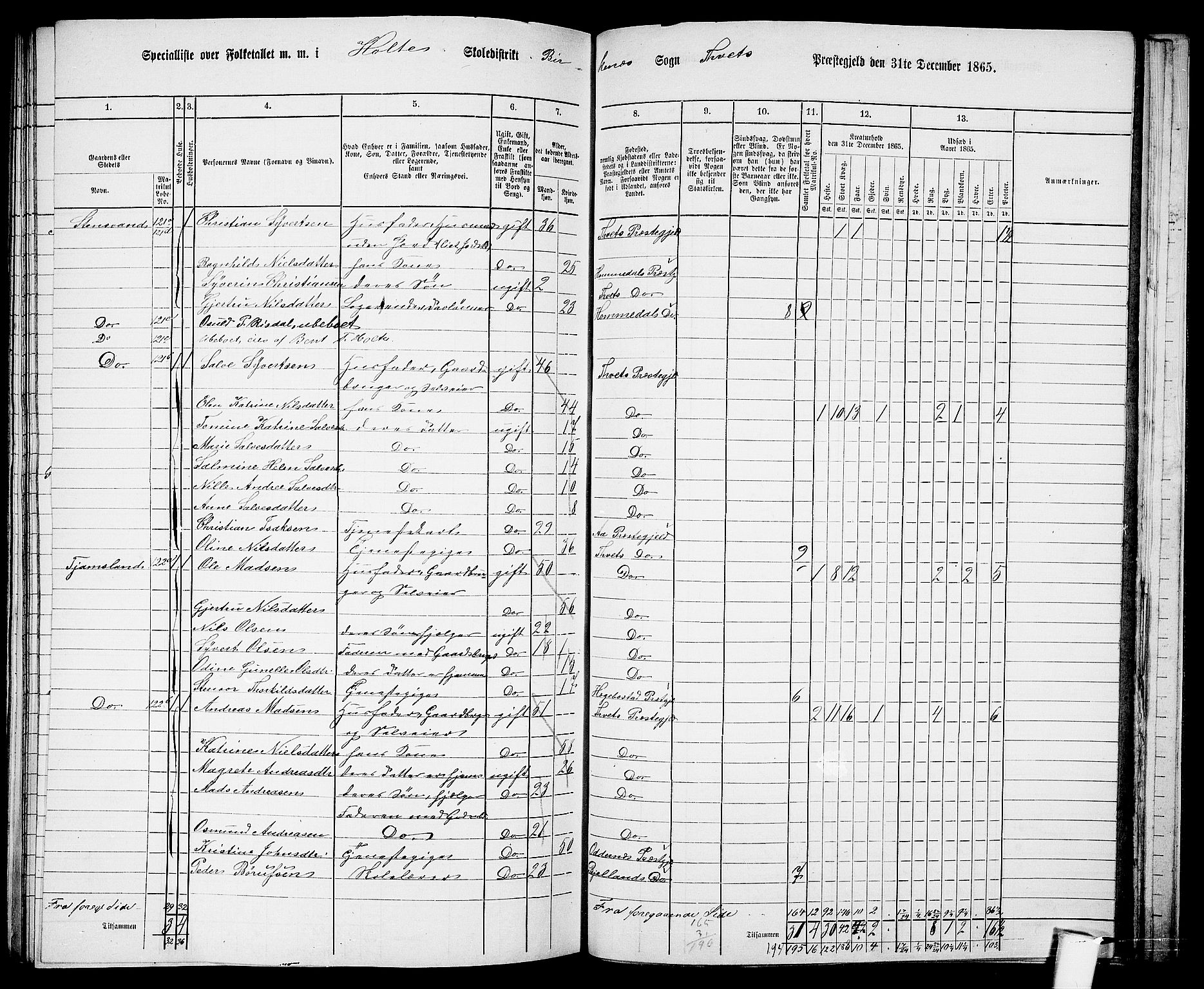 RA, 1865 census for Tveit, 1865, p. 131