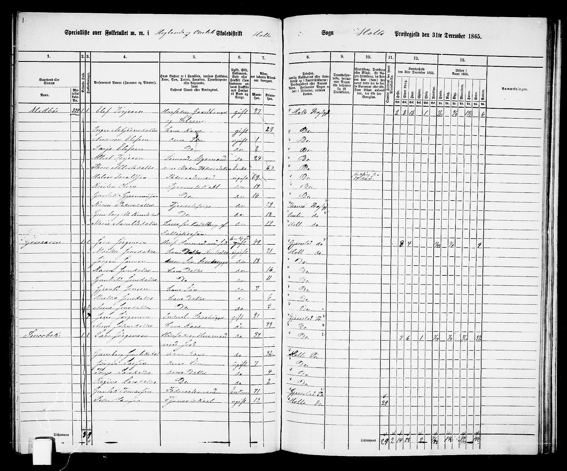 RA, 1865 census for Holt/Holt, 1865, p. 146