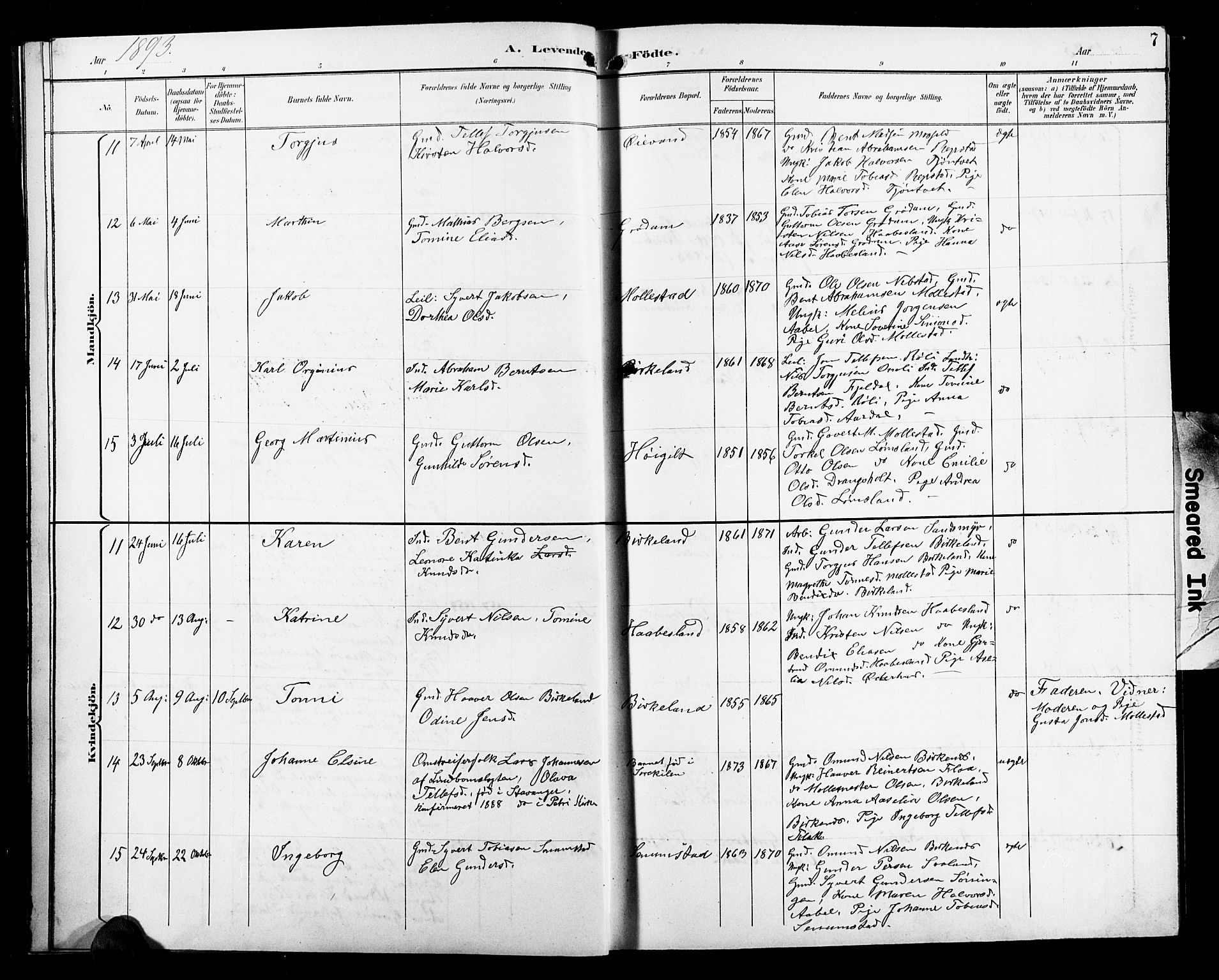 Birkenes sokneprestkontor, AV/SAK-1111-0004/F/Fb/L0004: Parish register (copy) no. B 4, 1893-1930, p. 7