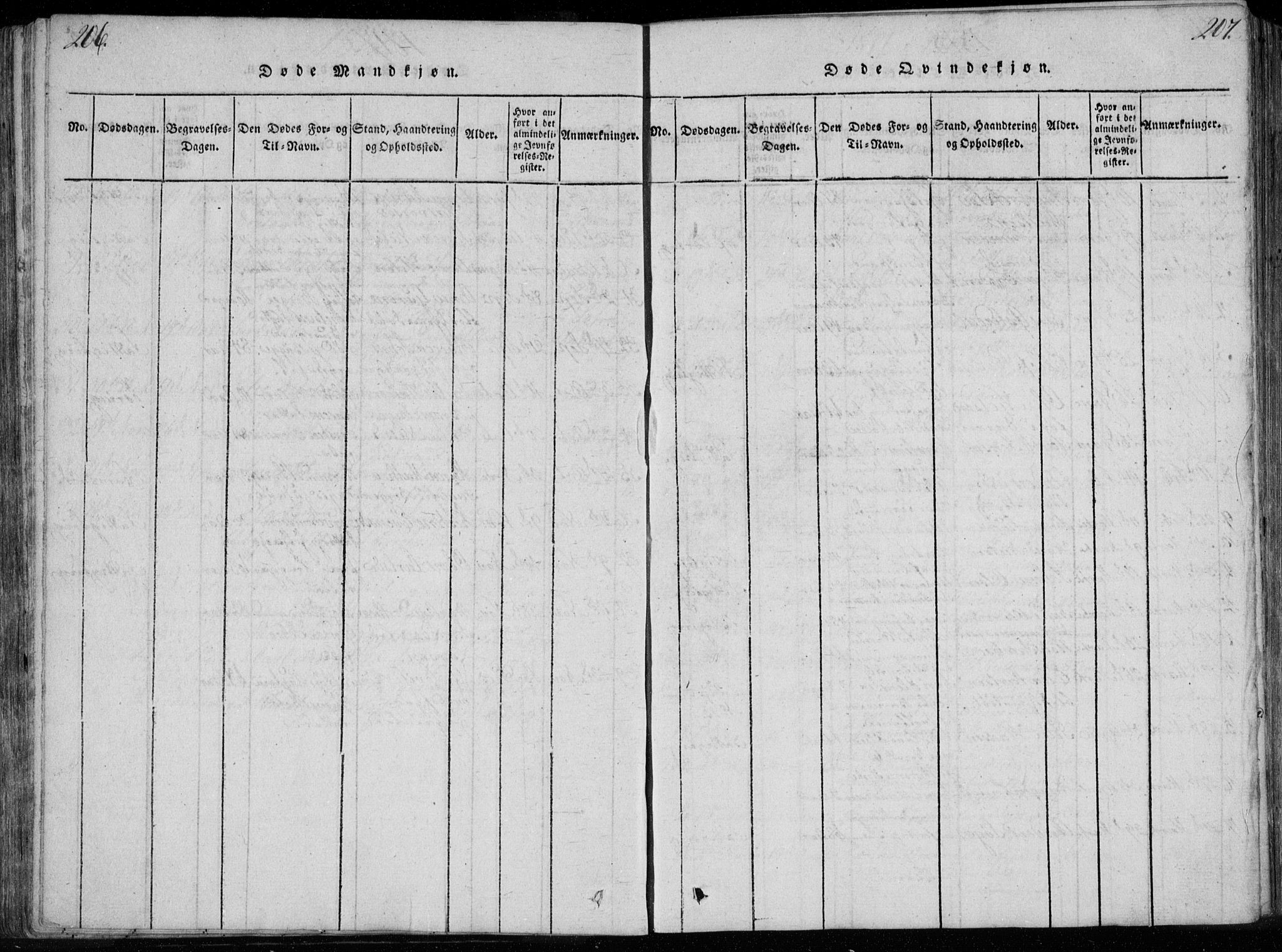 Bragernes kirkebøker, SAKO/A-6/F/Fa/L0007: Parish register (official) no. I 7, 1815-1829, p. 206-207
