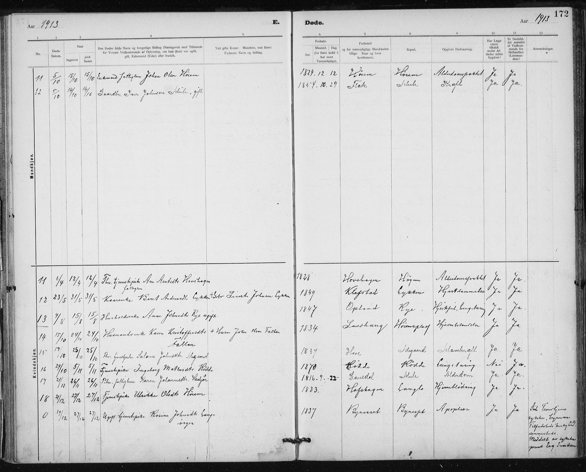 Ministerialprotokoller, klokkerbøker og fødselsregistre - Sør-Trøndelag, AV/SAT-A-1456/612/L0381: Parish register (official) no. 612A13, 1907-1923, p. 172