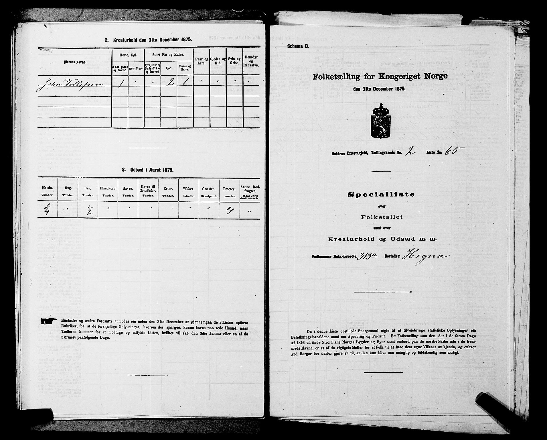 SAKO, 1875 census for 0819P Holla, 1875, p. 270