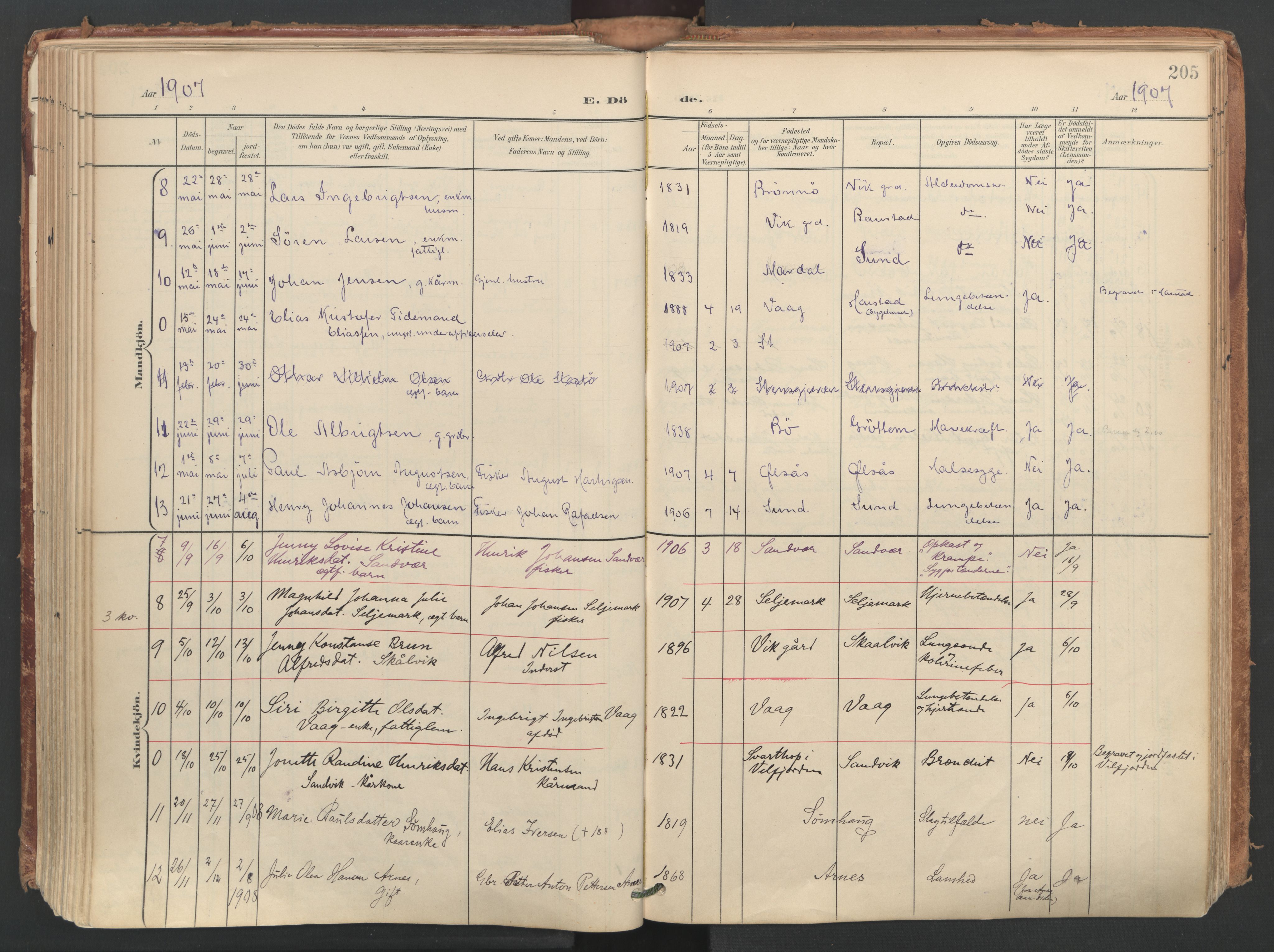 Ministerialprotokoller, klokkerbøker og fødselsregistre - Nordland, AV/SAT-A-1459/812/L0180: Parish register (official) no. 812A09, 1901-1915, p. 205