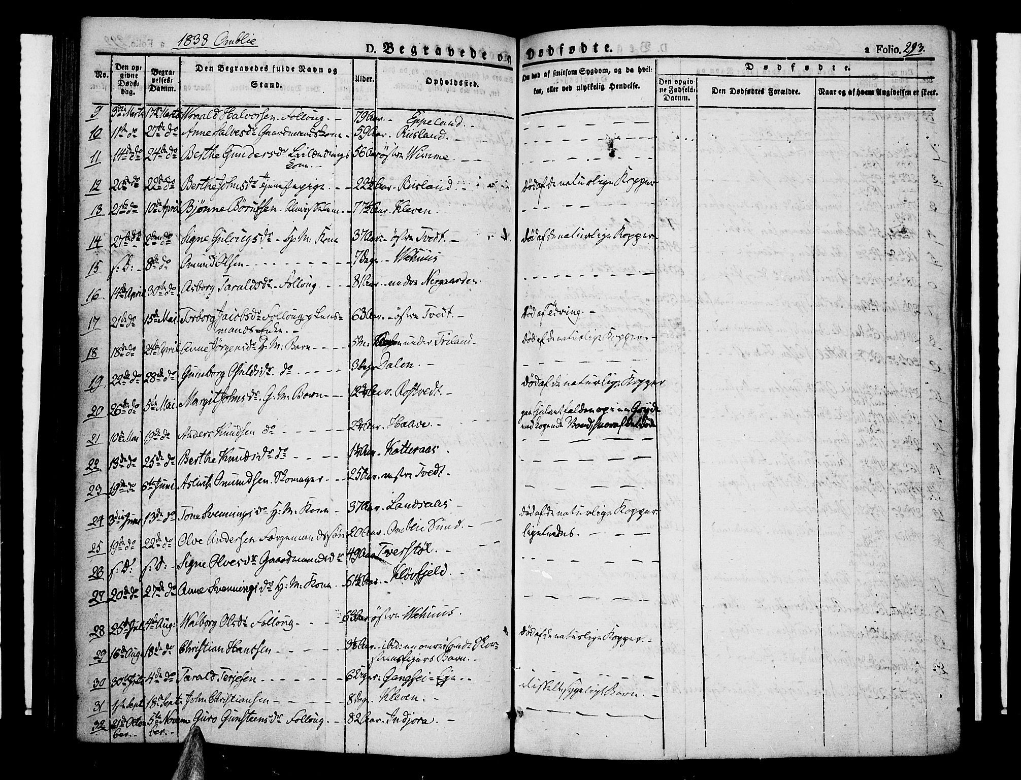 Åmli sokneprestkontor, AV/SAK-1111-0050/F/Fa/Fac/L0007: Parish register (official) no. A 7 /1, 1829-1851, p. 293