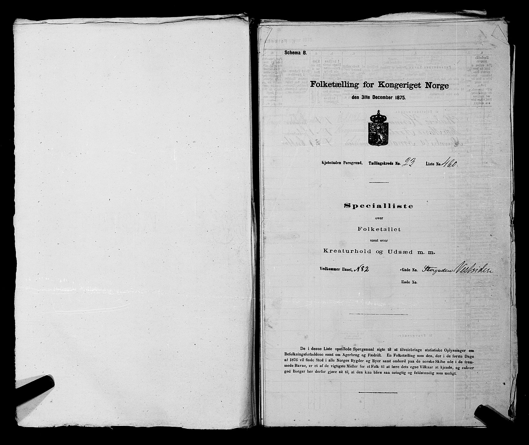 SAKO, 1875 census for 0805P Porsgrunn, 1875, p. 1031