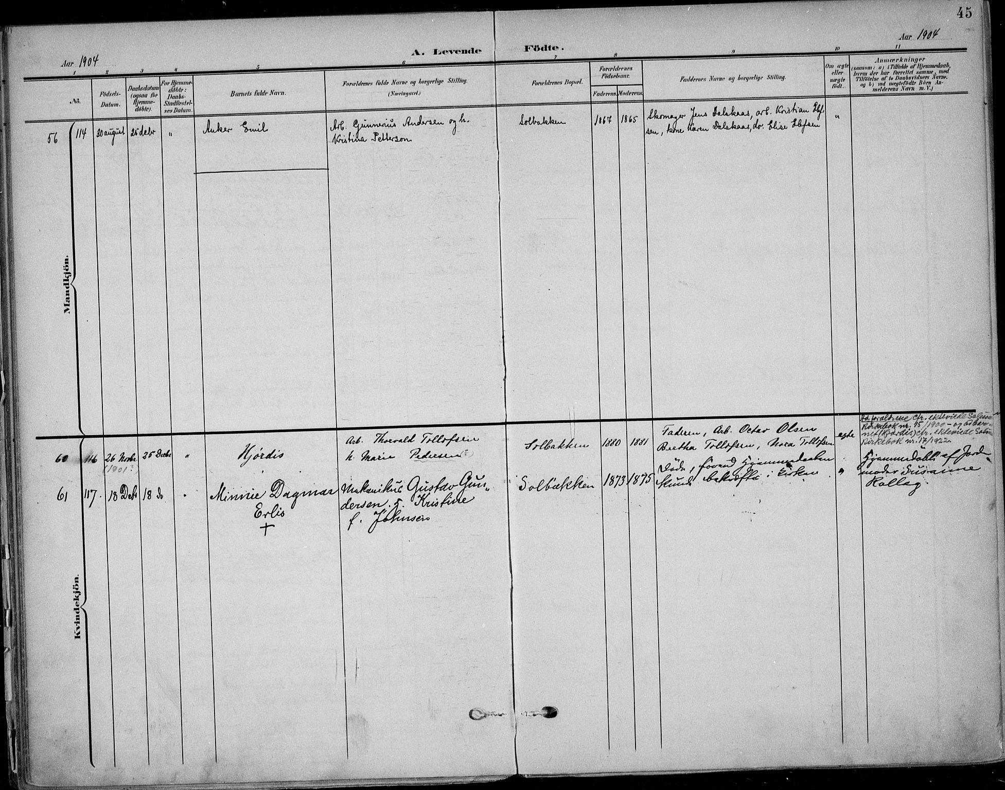 Solum kirkebøker, AV/SAKO-A-306/F/Fb/L0003: Parish register (official) no. II 3, 1901-1912, p. 45