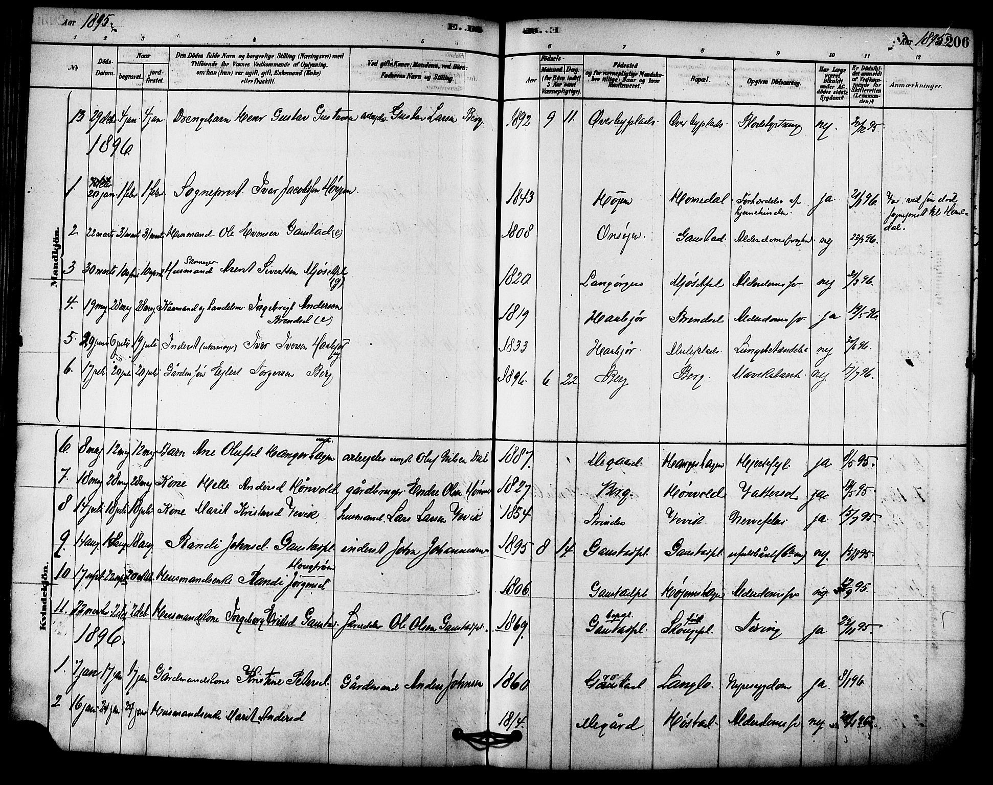 Ministerialprotokoller, klokkerbøker og fødselsregistre - Sør-Trøndelag, SAT/A-1456/612/L0378: Parish register (official) no. 612A10, 1878-1897, p. 206