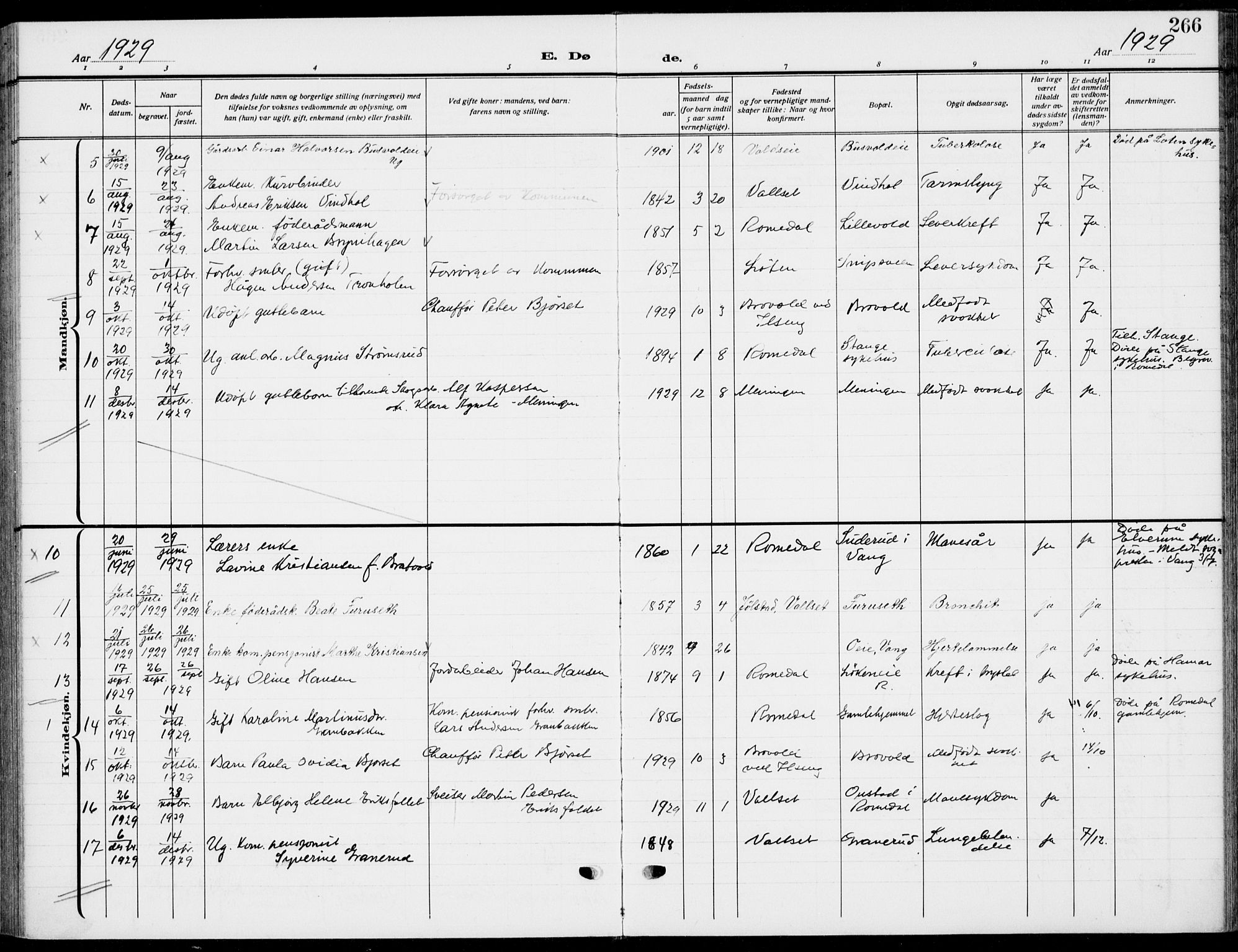 Romedal prestekontor, AV/SAH-PREST-004/K/L0012: Parish register (official) no. 12, 1913-1935, p. 266