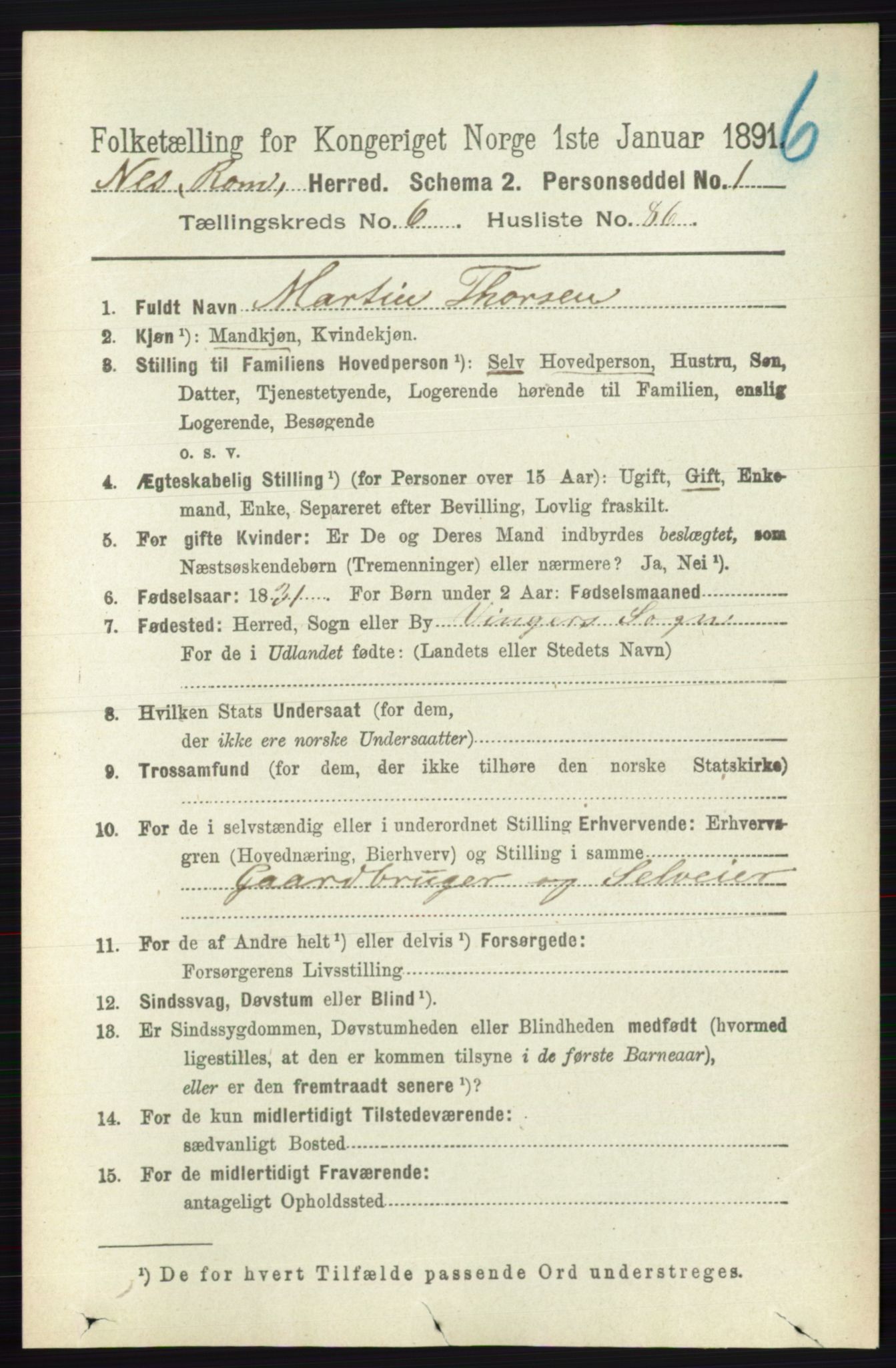 RA, 1891 census for 0236 Nes, 1891, p. 3911