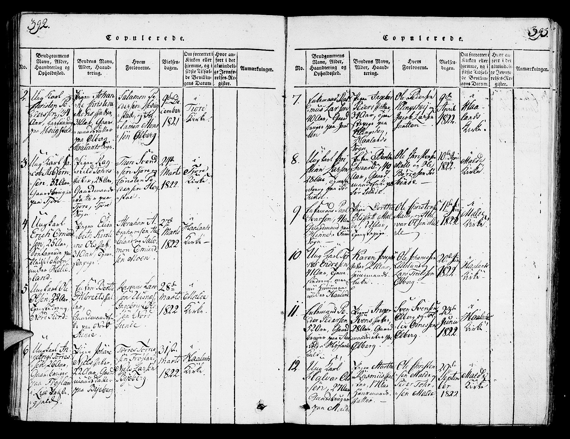 Håland sokneprestkontor, AV/SAST-A-101802/001/30BA/L0004: Parish register (official) no. A 4, 1815-1829, p. 392-393