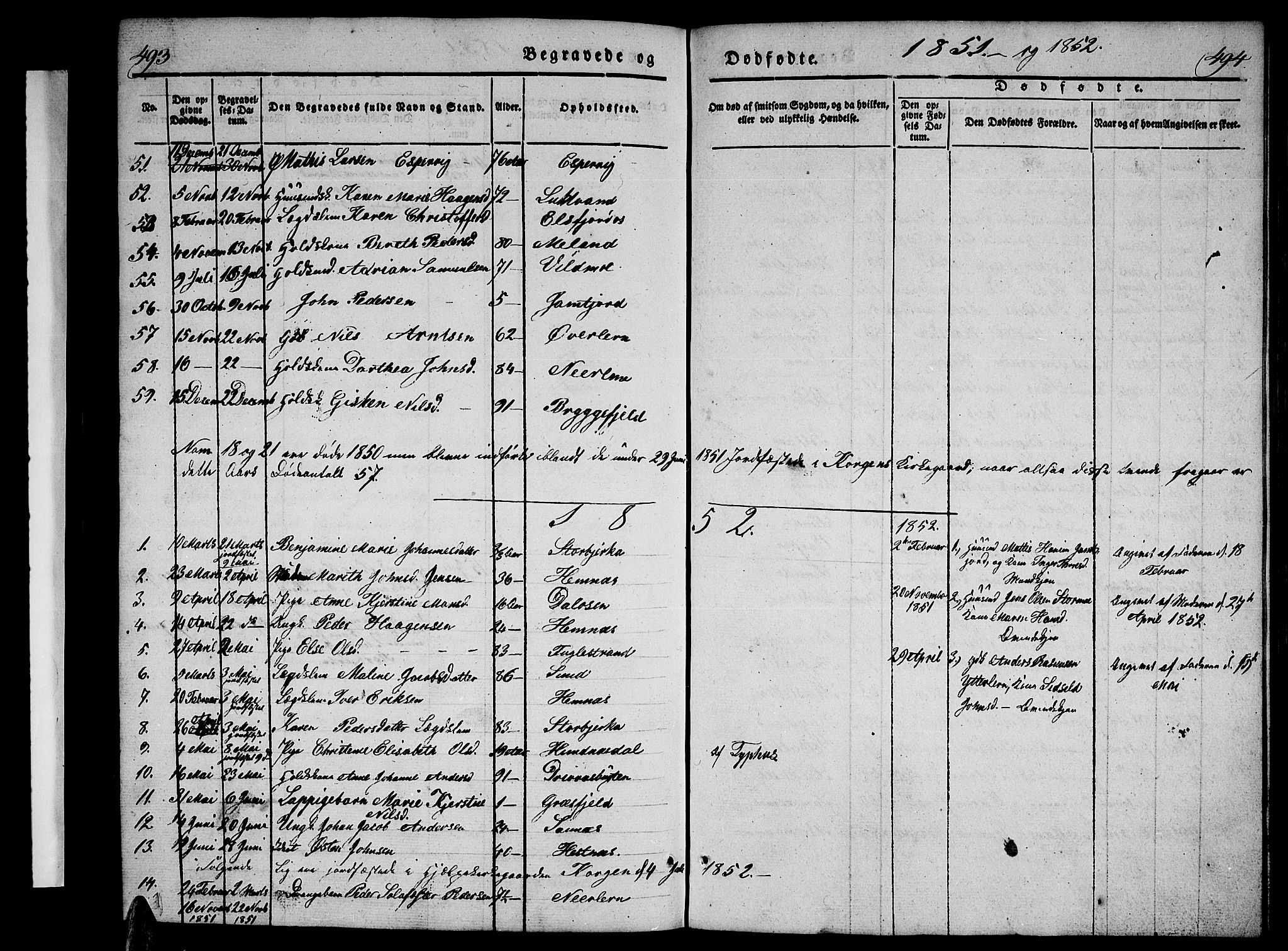 Ministerialprotokoller, klokkerbøker og fødselsregistre - Nordland, AV/SAT-A-1459/825/L0364: Parish register (copy) no. 825C01, 1841-1863, p. 493-494