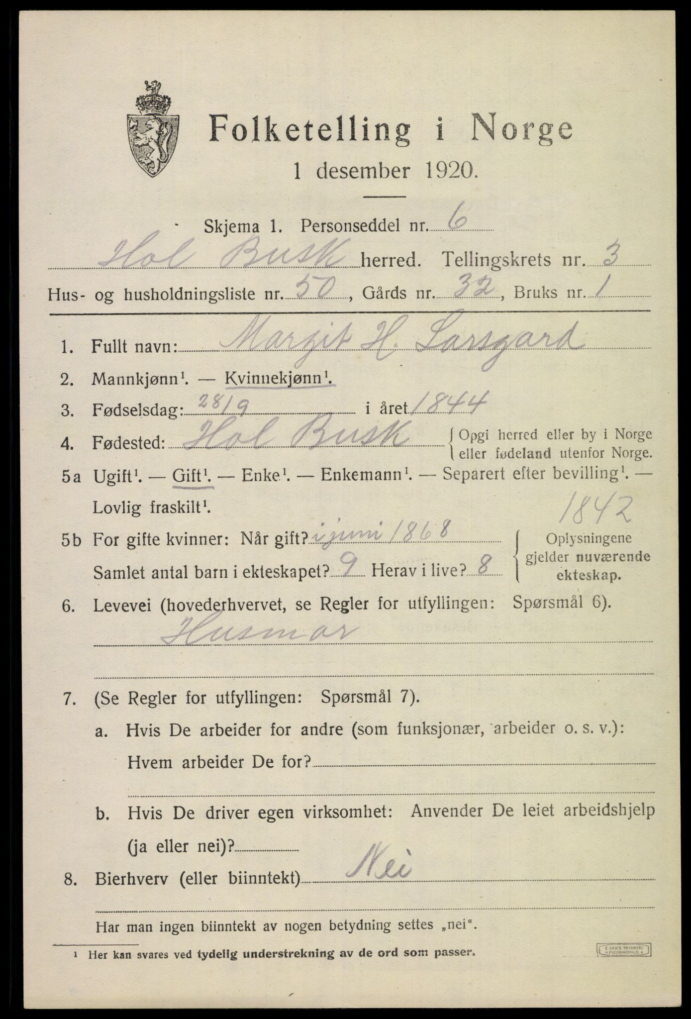 SAKO, 1920 census for Hol (Buskerud), 1920, p. 2413