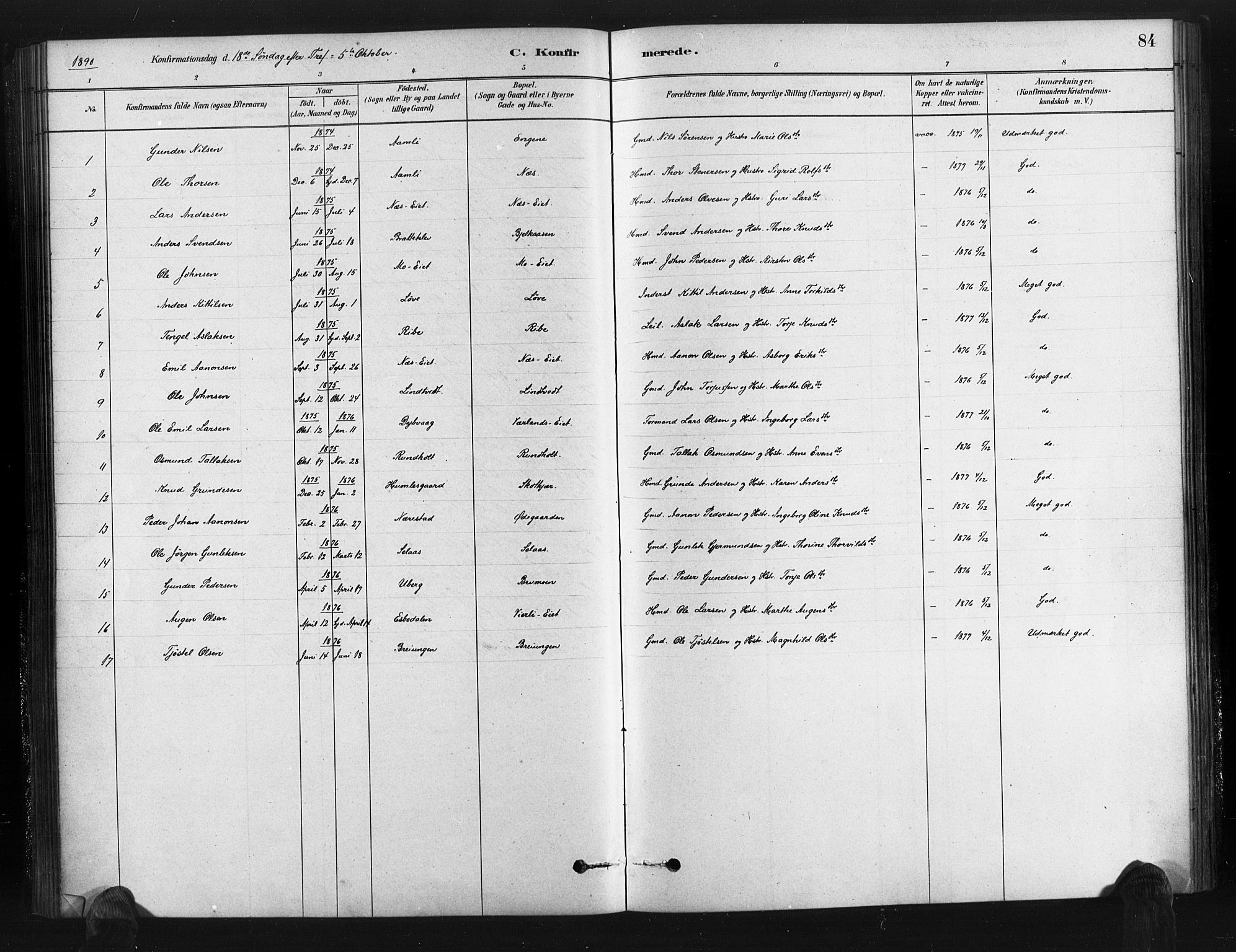 Gjerstad sokneprestkontor, AV/SAK-1111-0014/F/Fa/Fab/L0004: Parish register (official) no. A 4, 1879-1890, p. 84