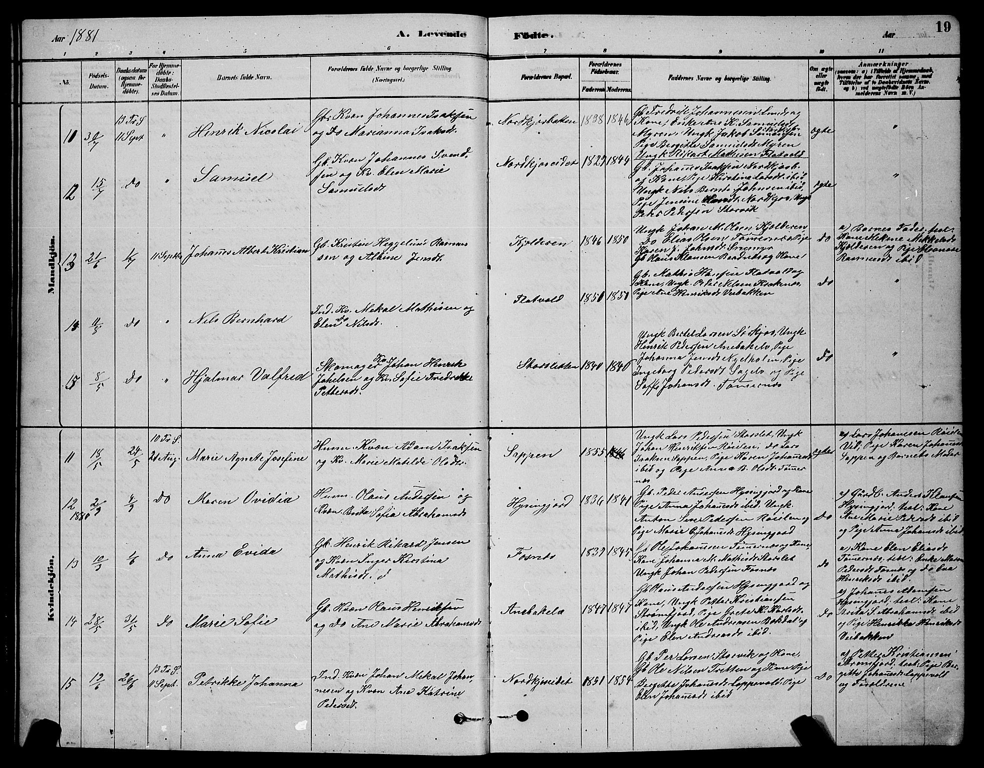 Skjervøy sokneprestkontor, AV/SATØ-S-1300/H/Ha/Hab/L0020klokker: Parish register (copy) no. 20, 1878-1892, p. 19