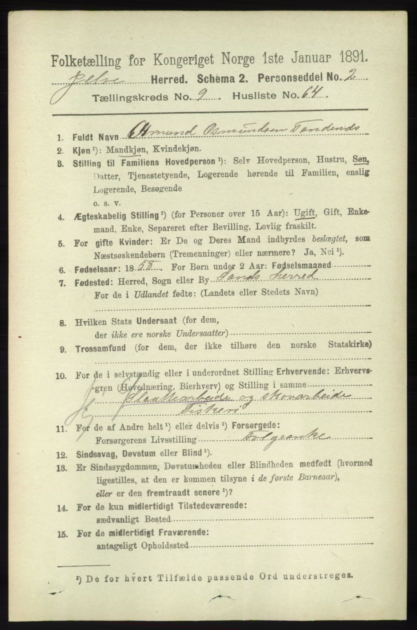 RA, 1891 census for 1138 Jelsa, 1891, p. 2366