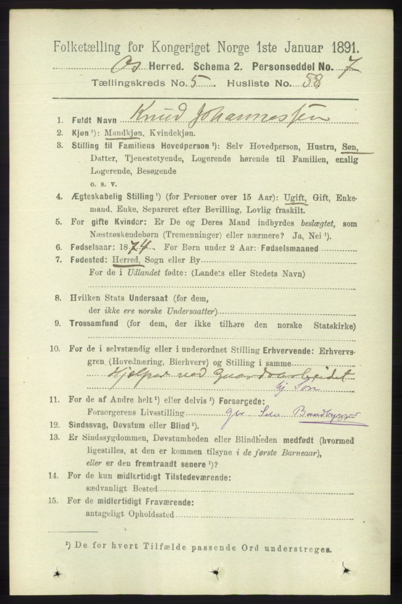 RA, 1891 census for 1243 Os, 1891, p. 1295