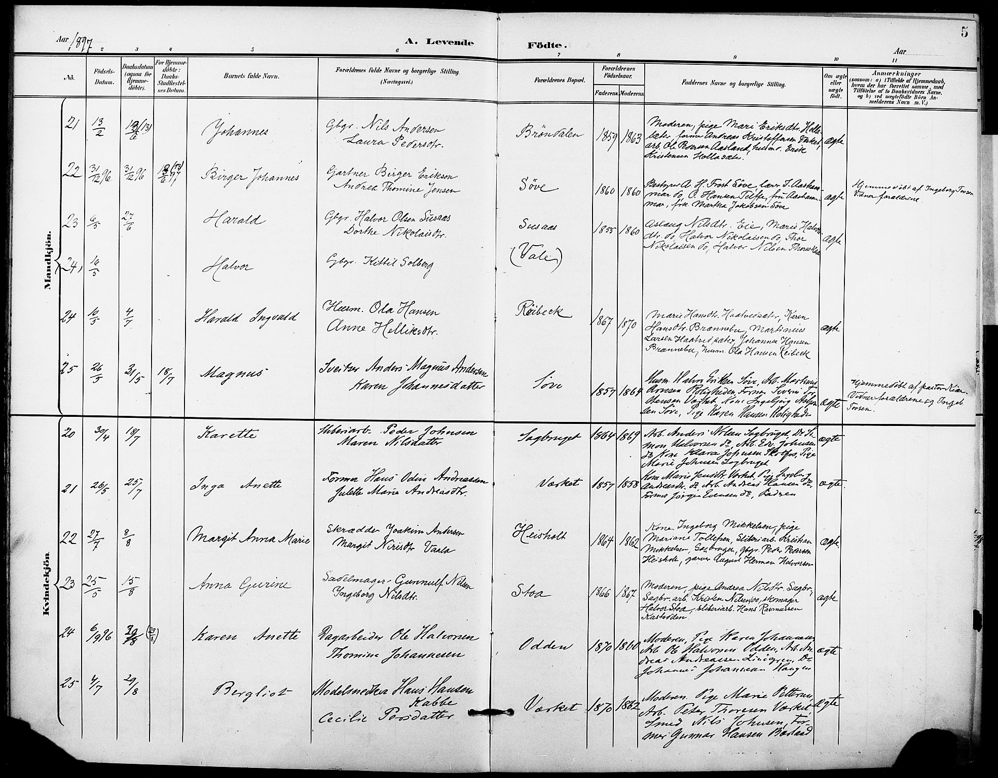 Holla kirkebøker, AV/SAKO-A-272/F/Fa/L0010: Parish register (official) no. 10, 1897-1907, p. 5