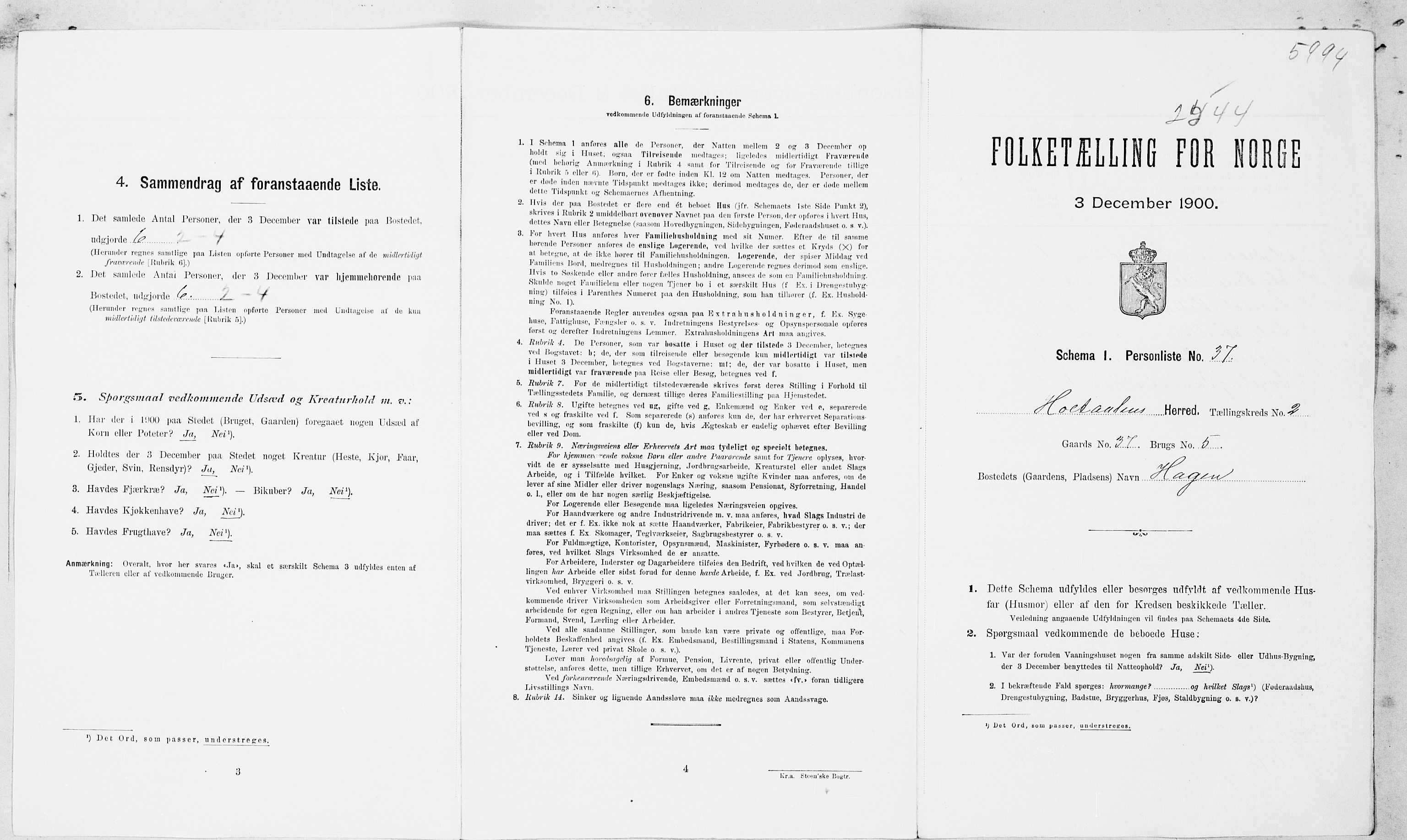 SAT, 1900 census for Haltdalen, 1900, p. 18