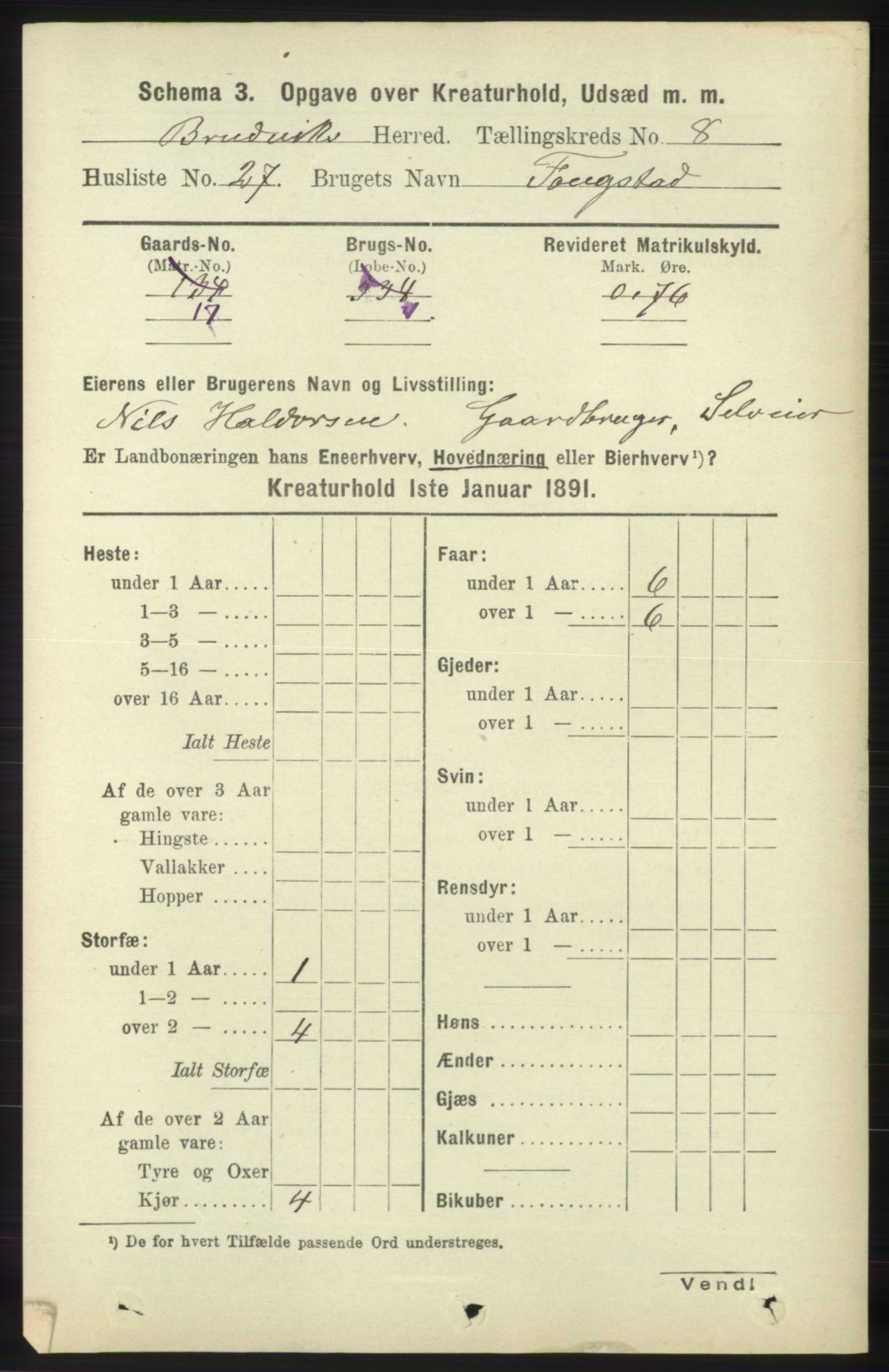 RA, 1891 census for 1251 Bruvik, 1891, p. 4796