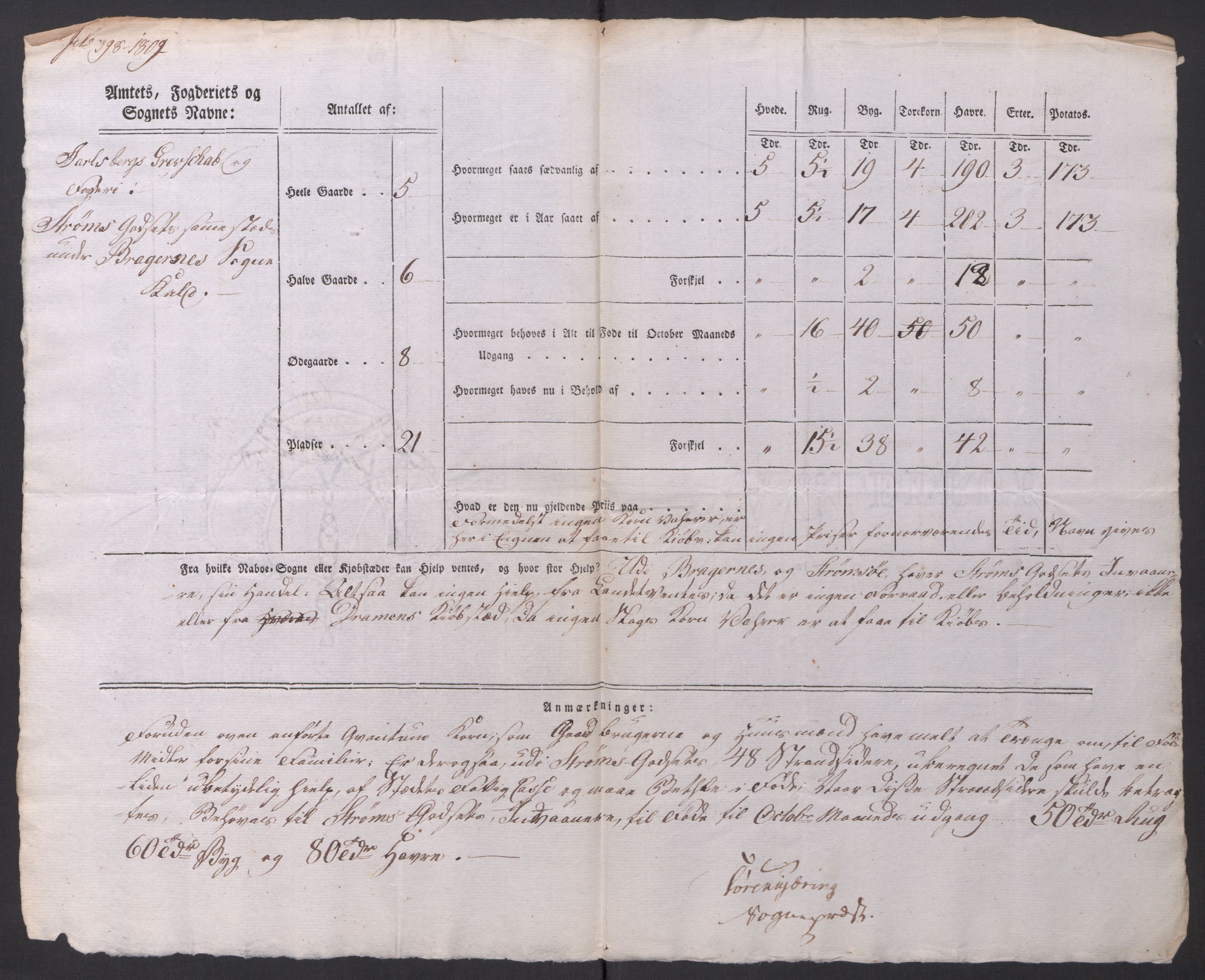 Regjeringskommisjonen 1807-1810, 1. kontor/byrå, AV/RA-EA-2871/Dd/L0014: Kornavl: De utfyldte skjemaer fra sognekommisjonene i Kristiania og Kristiansand stift, 1809, p. 217