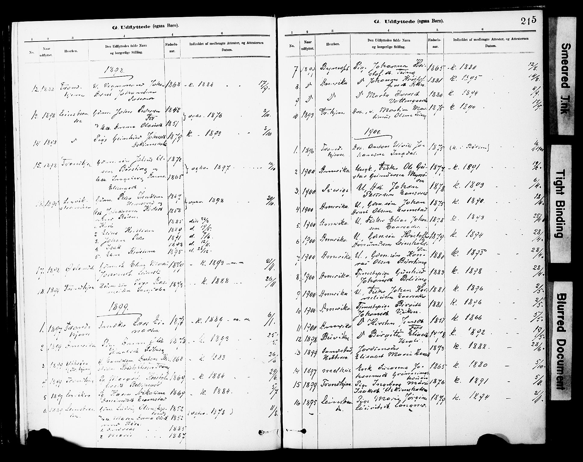 Ministerialprotokoller, klokkerbøker og fødselsregistre - Sør-Trøndelag, SAT/A-1456/646/L0615: Parish register (official) no. 646A13, 1885-1900, p. 215