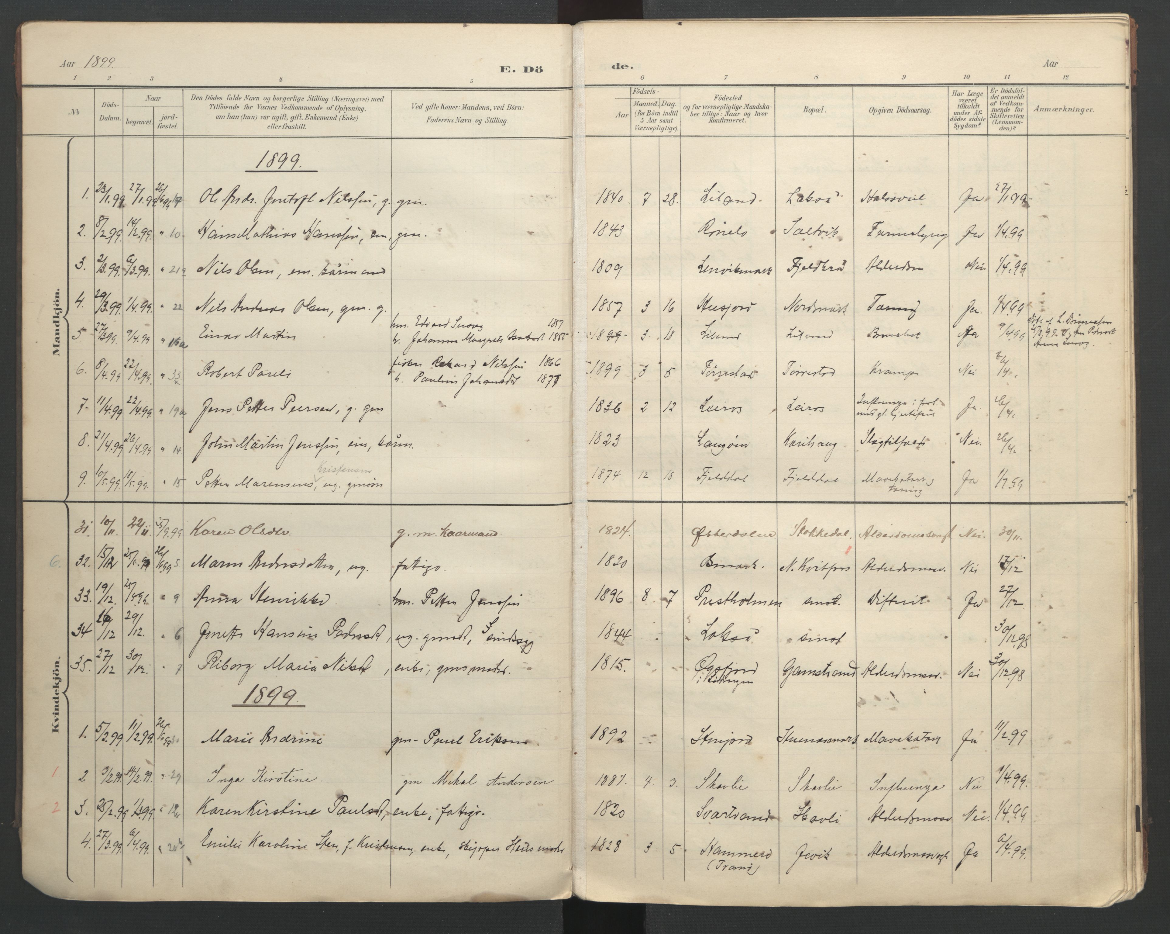 Ministerialprotokoller, klokkerbøker og fødselsregistre - Nordland, AV/SAT-A-1459/863/L0917: Parish register (copy) no. 863C07, 1898-1907