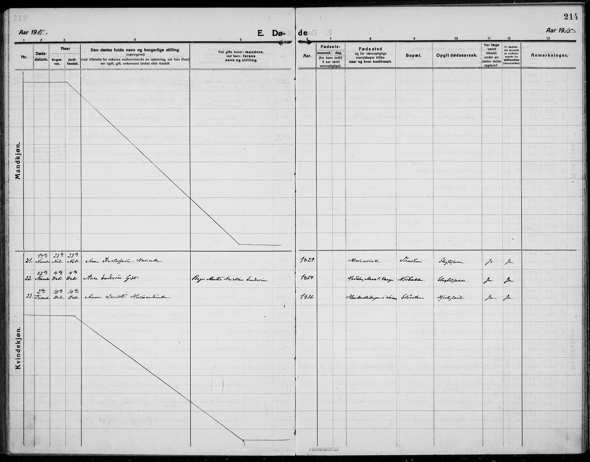 Jevnaker prestekontor, SAH/PREST-116/H/Ha/Haa/L0012: Parish register (official) no. 12, 1914-1924, p. 214