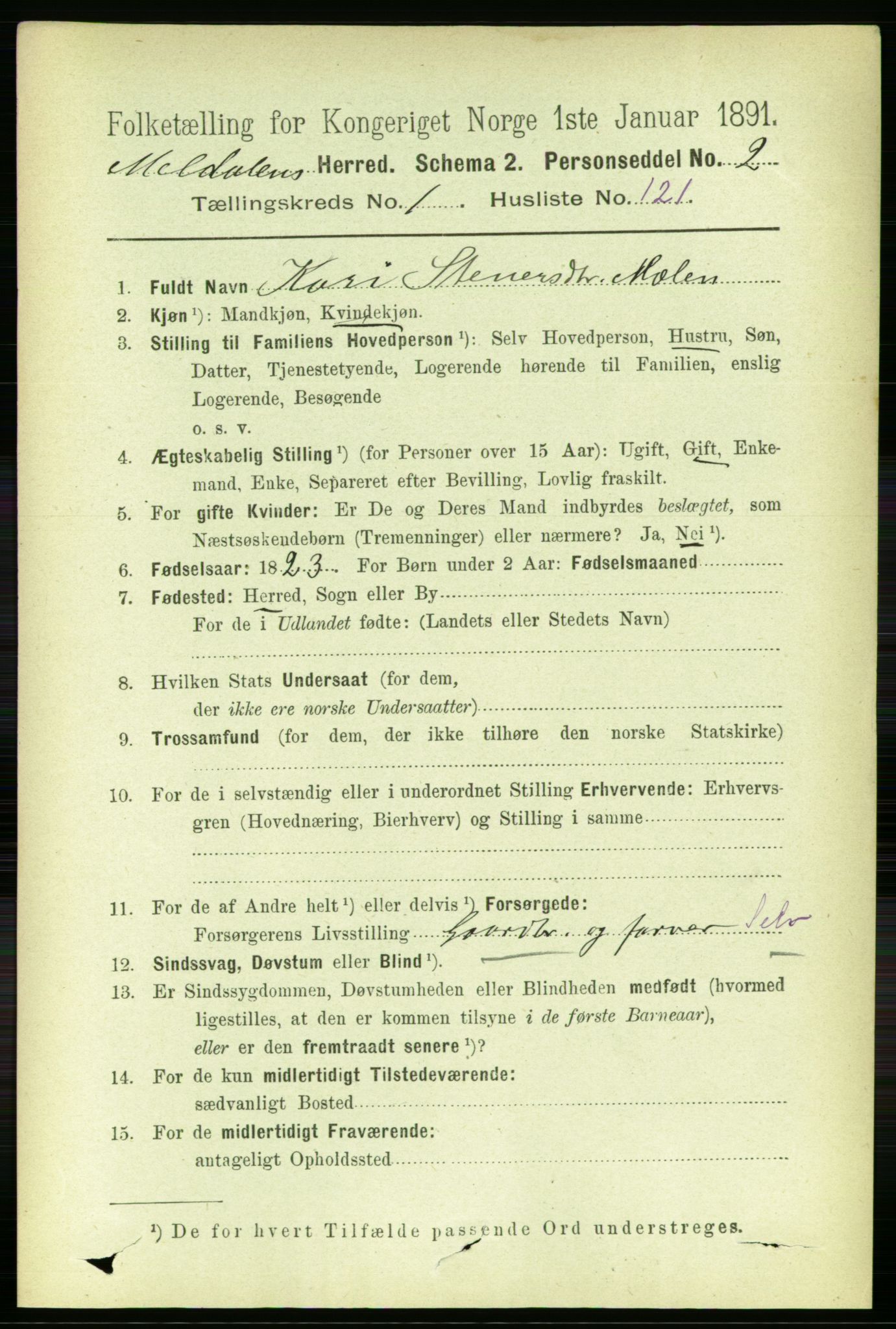 RA, 1891 census for 1636 Meldal, 1891, p. 931