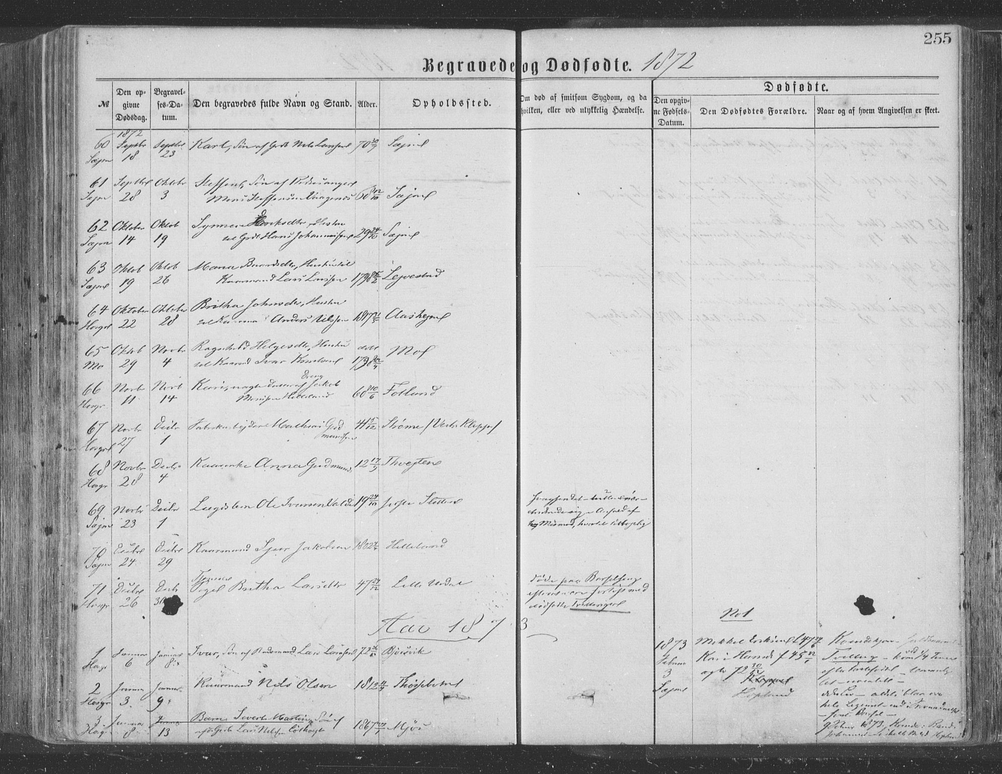 Hosanger sokneprestembete, SAB/A-75801/H/Haa: Parish register (official) no. A 9, 1864-1876, p. 255