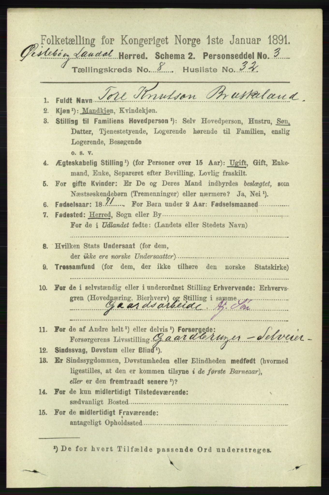 RA, 1891 census for 1021 Øyslebø og Laudal, 1891, p. 2272