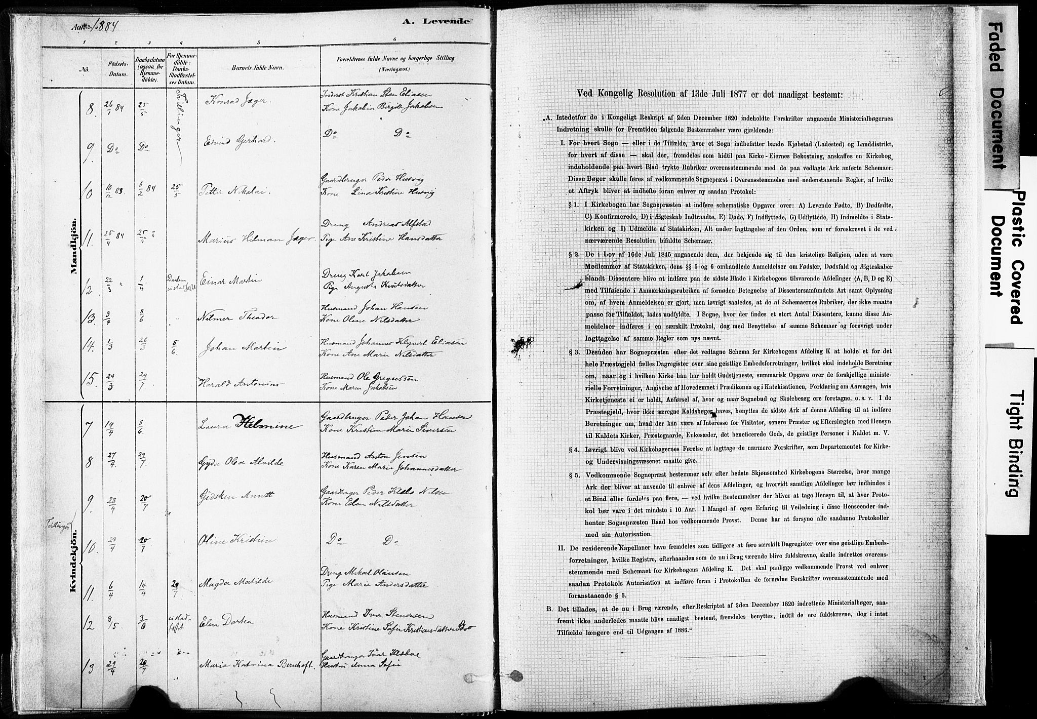 Ministerialprotokoller, klokkerbøker og fødselsregistre - Nordland, SAT/A-1459/835/L0525: Parish register (official) no. 835A03I, 1881-1910, p. 10