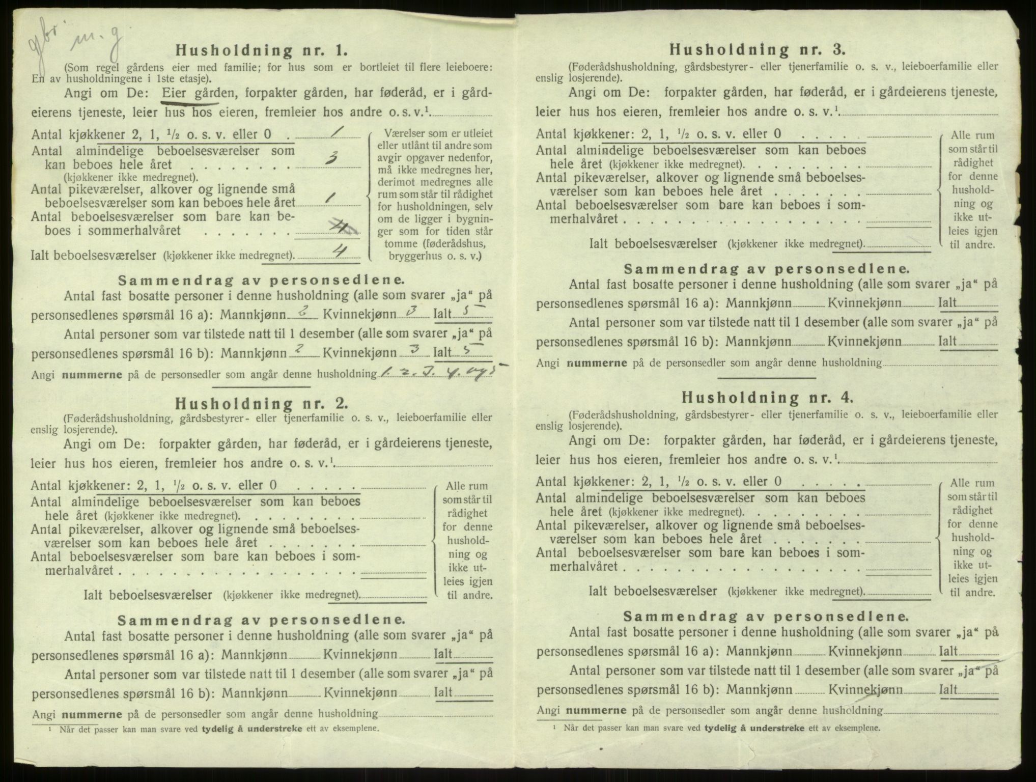 SAB, 1920 census for Aurland, 1920, p. 732