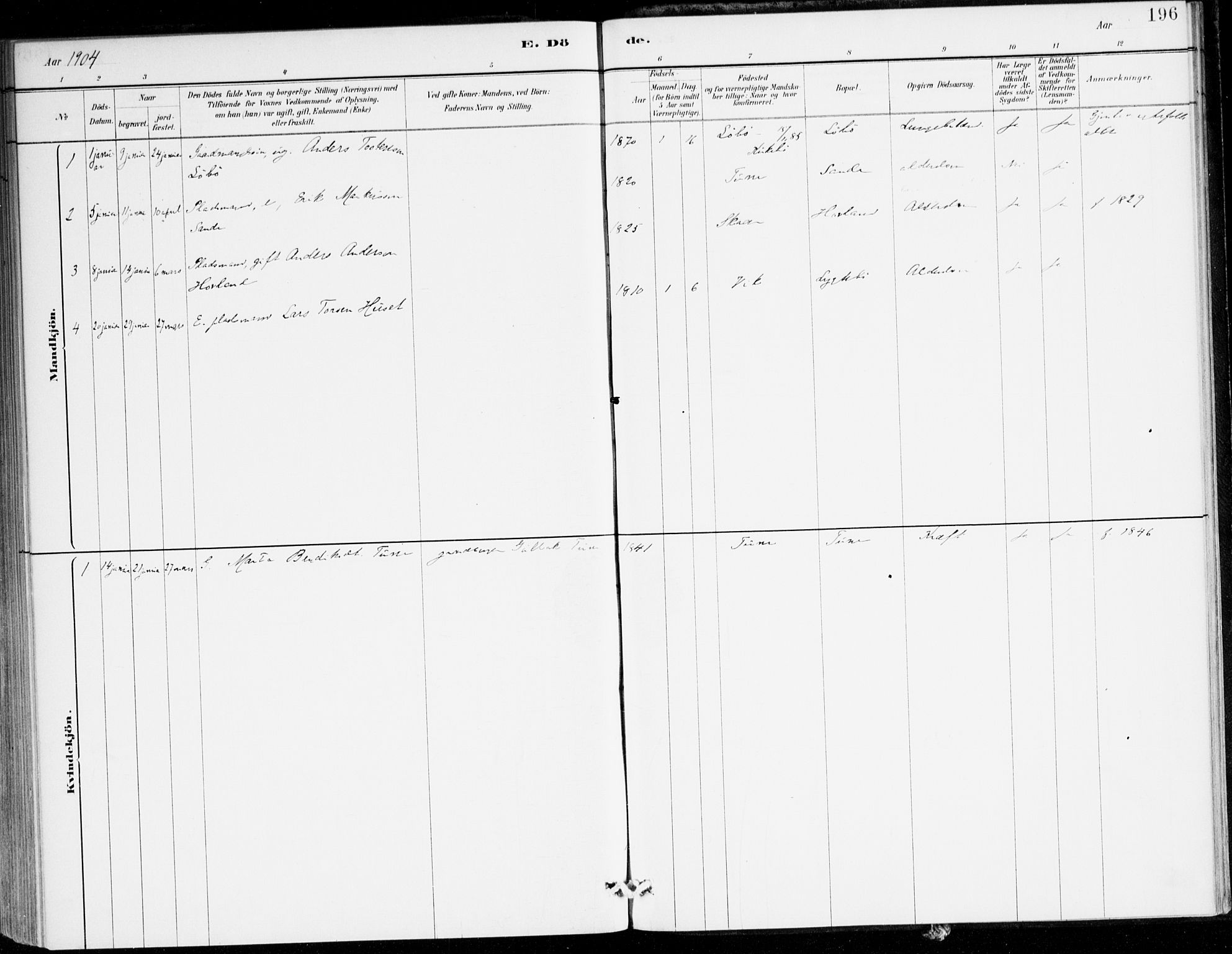 Lavik sokneprestembete, AV/SAB-A-80901: Parish register (official) no. C 1, 1882-1904, p. 196