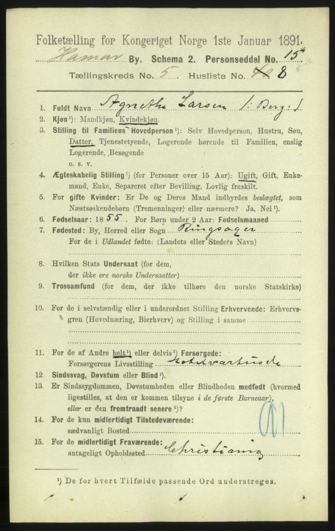 RA, 1891 census for 0401 Hamar, 1891, p. 3793