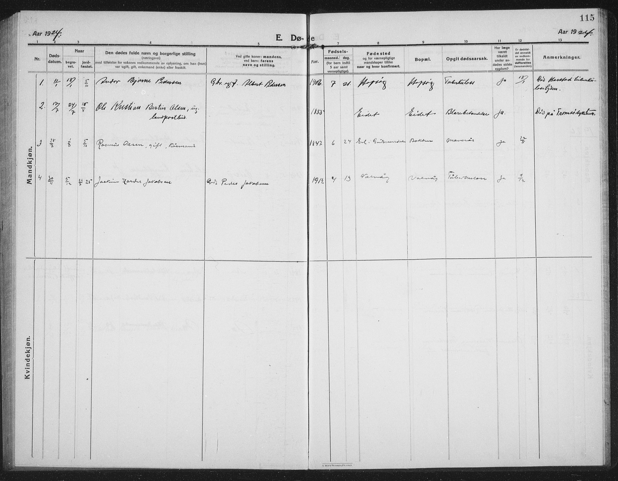 Tranøy sokneprestkontor, SATØ/S-1313/I/Ia/Iab/L0019klokker: Parish register (copy) no. 19, 1914-1940, p. 115
