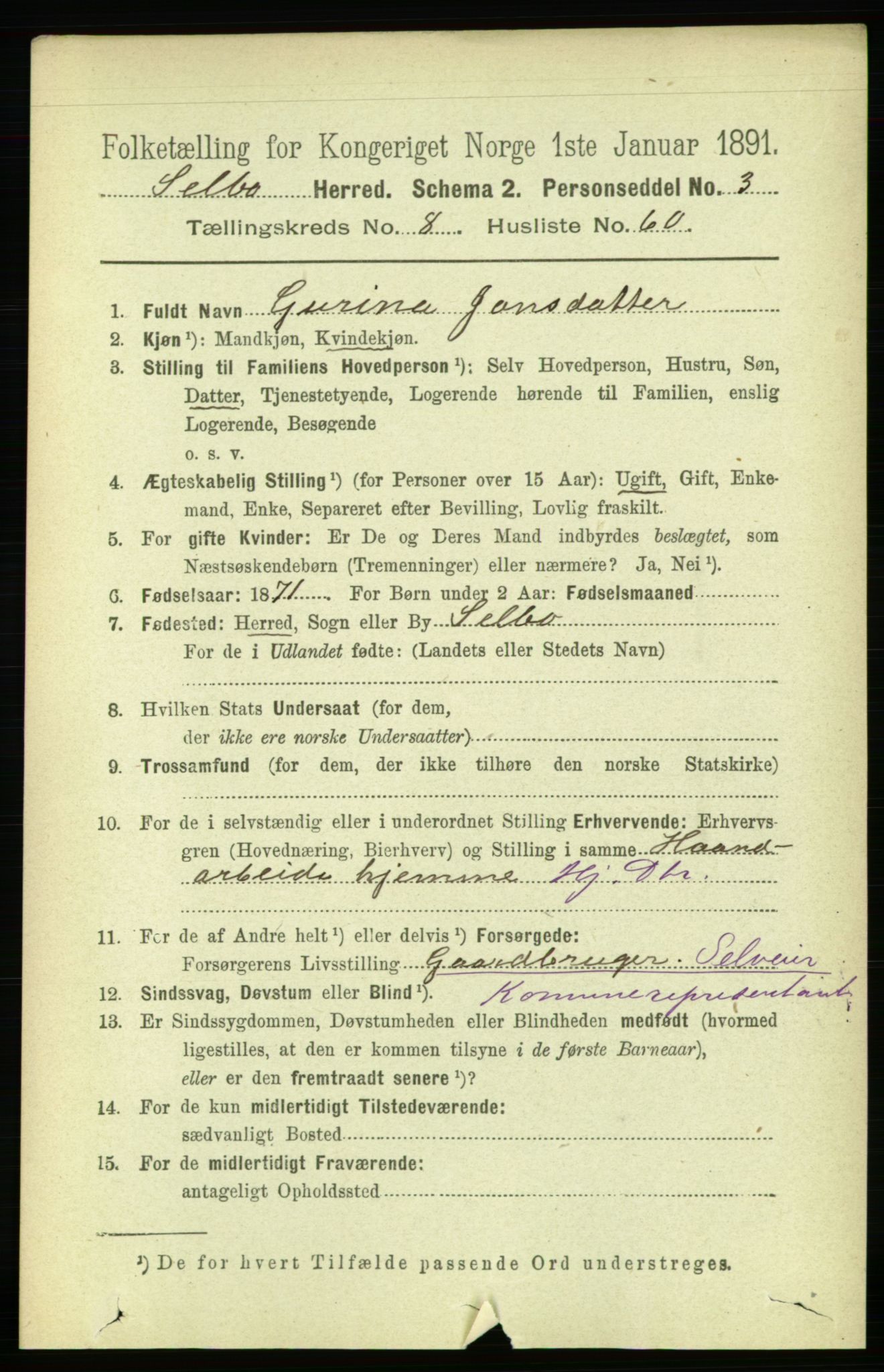 RA, 1891 census for 1664 Selbu, 1891, p. 3291